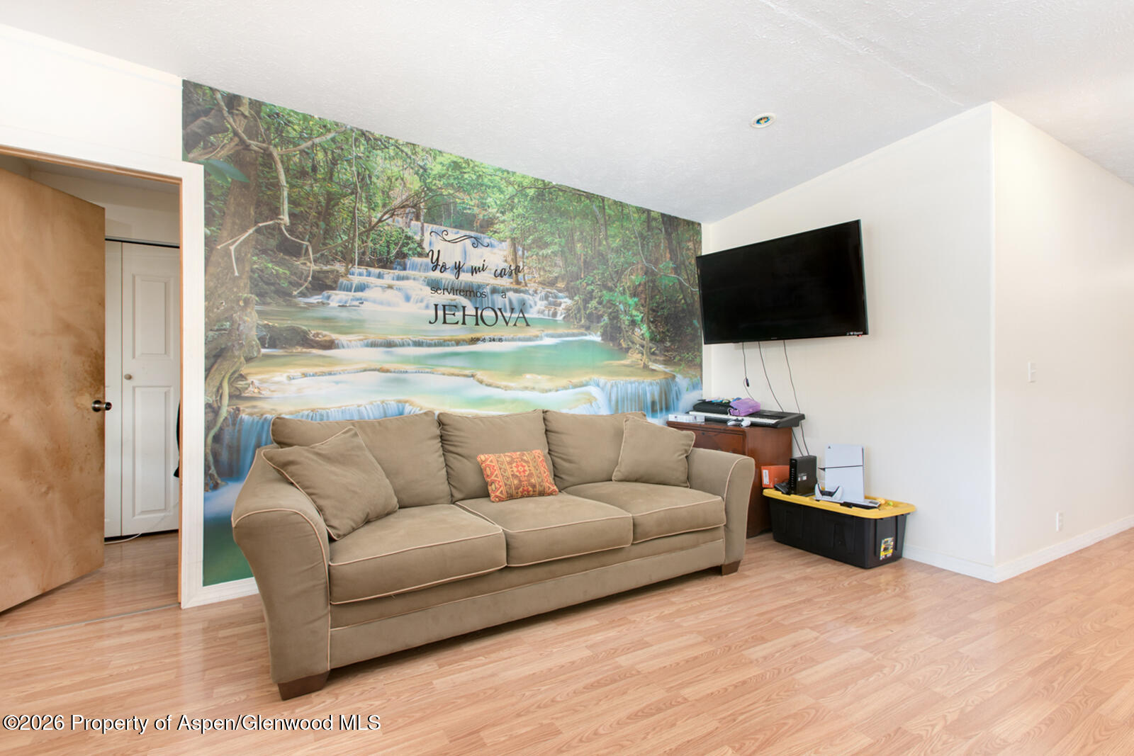 1900 Willits Lane Basalt CO 81621