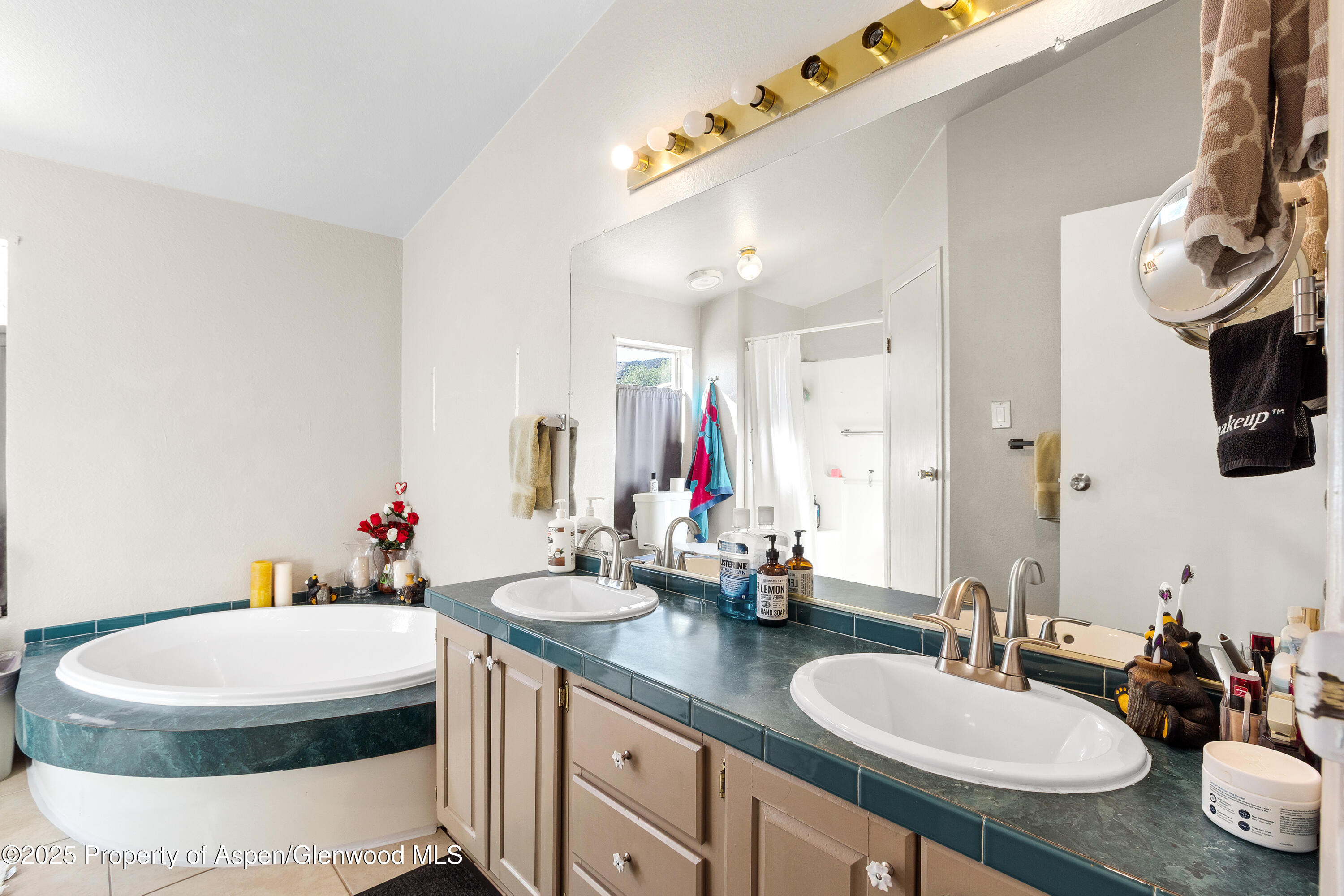 115 Silver Queen Circle Battlement Mesa CO 81635