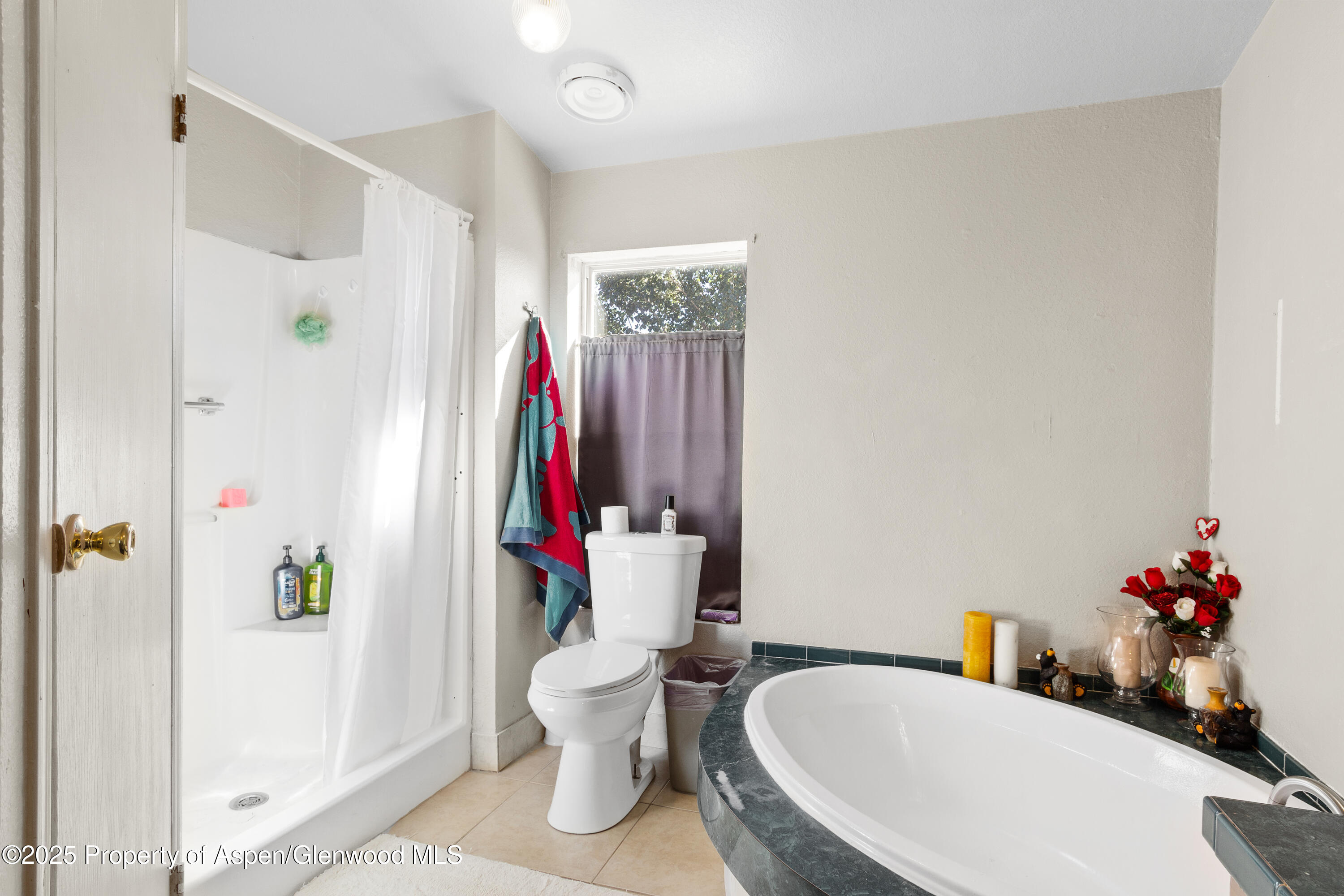 115 Silver Queen Circle Battlement Mesa CO 81635