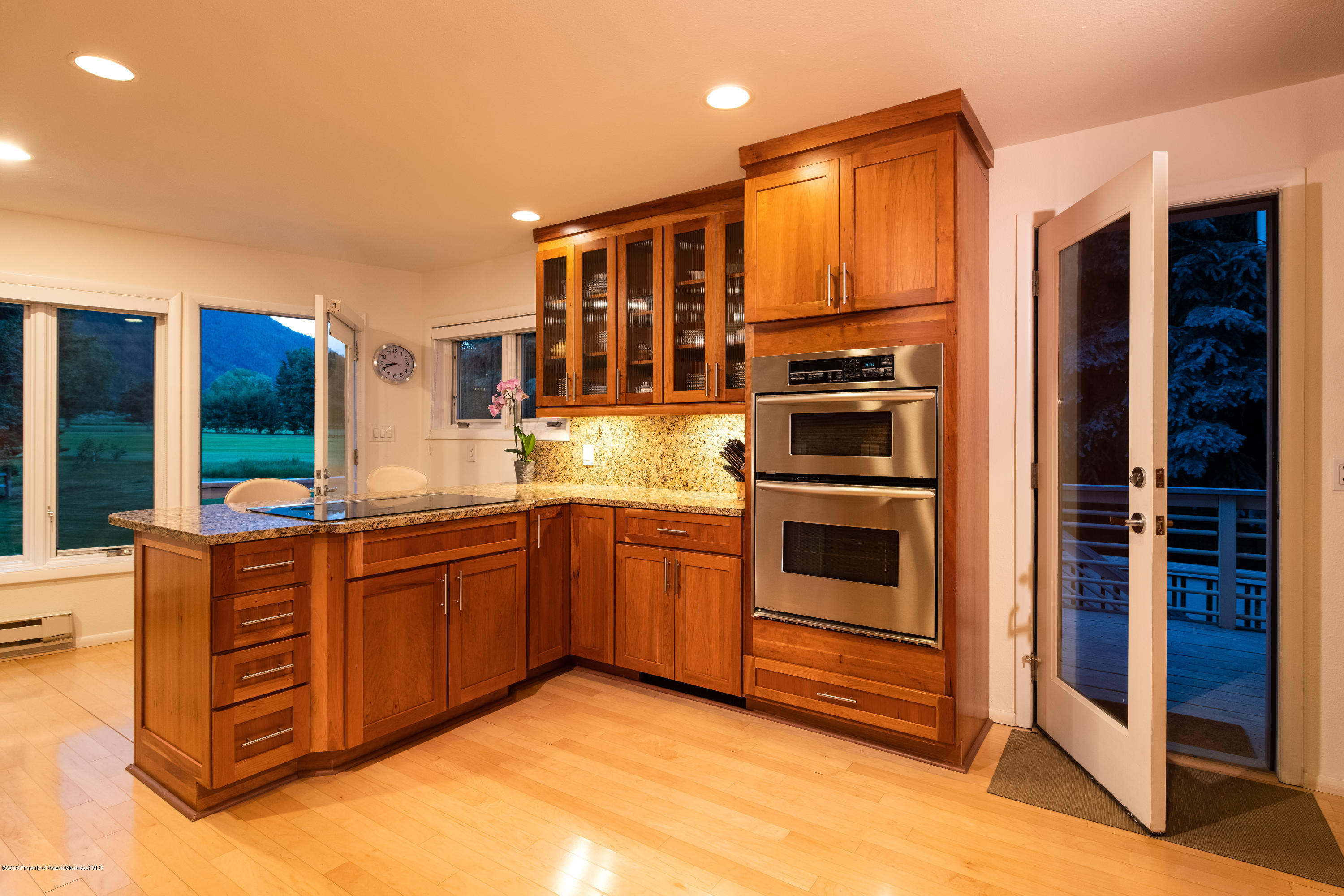 1425 Sierra Vista Aspen CO 81611