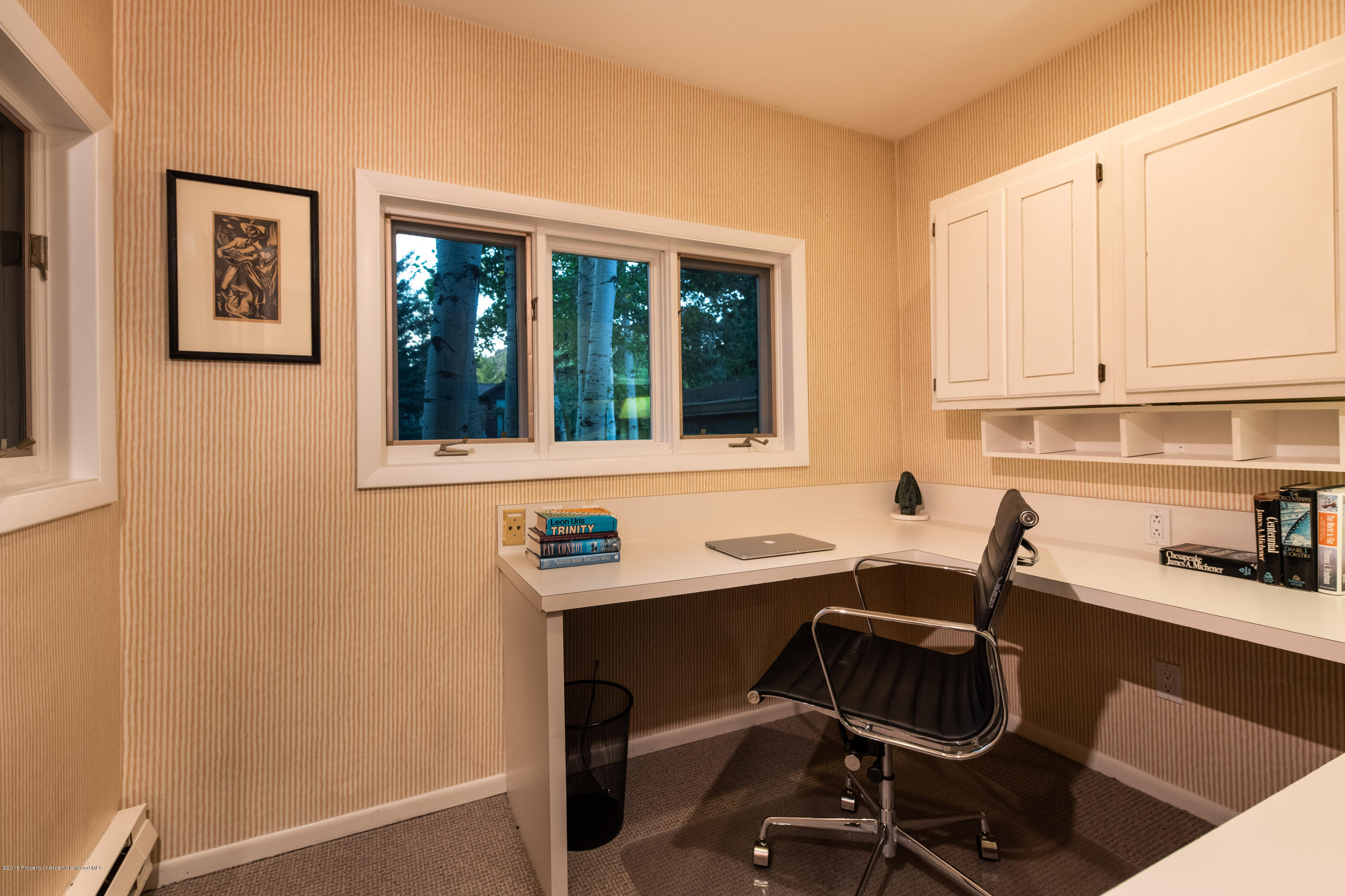 1425 Sierra Vista Aspen CO 81611