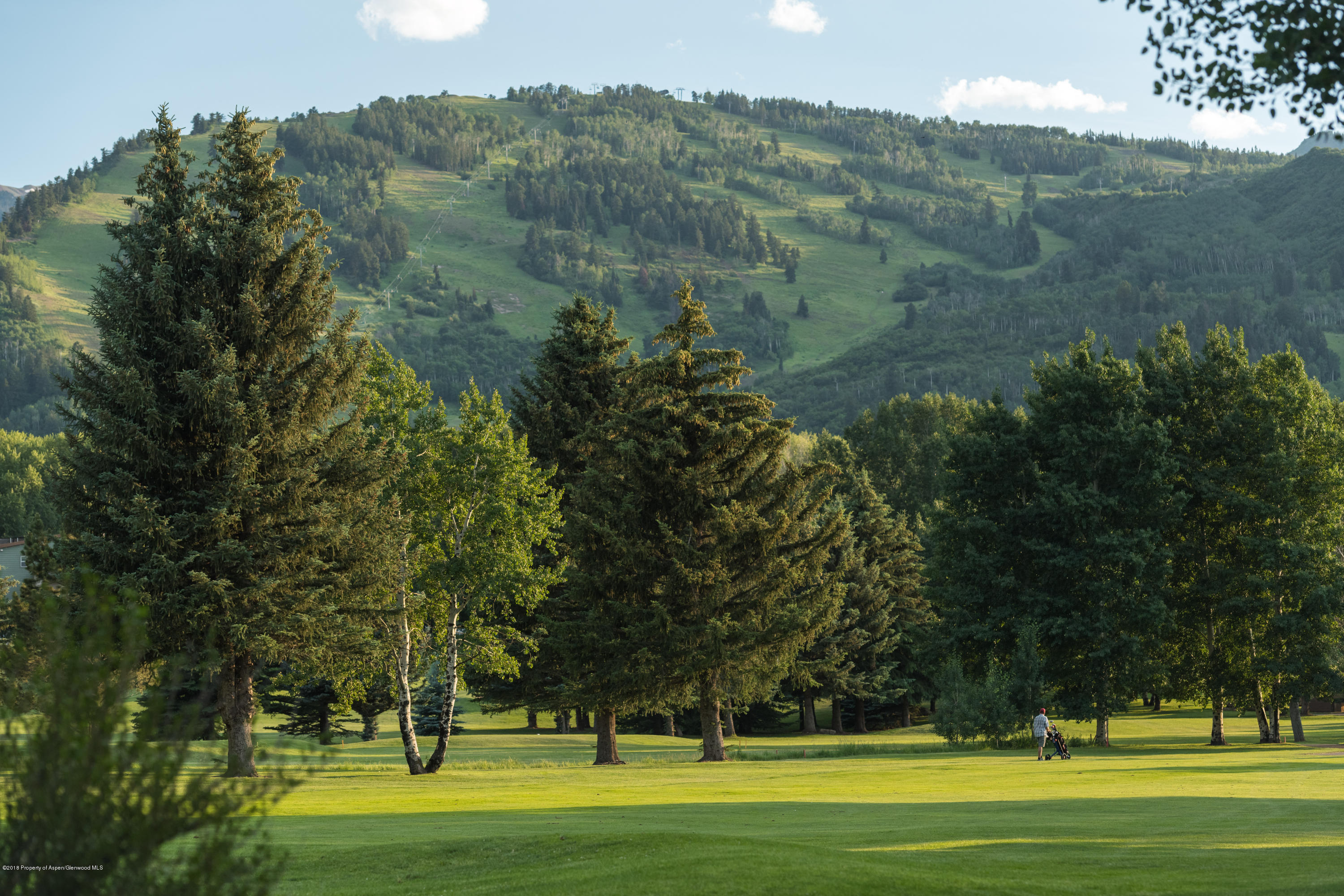 1425 Sierra Vista Aspen CO 81611