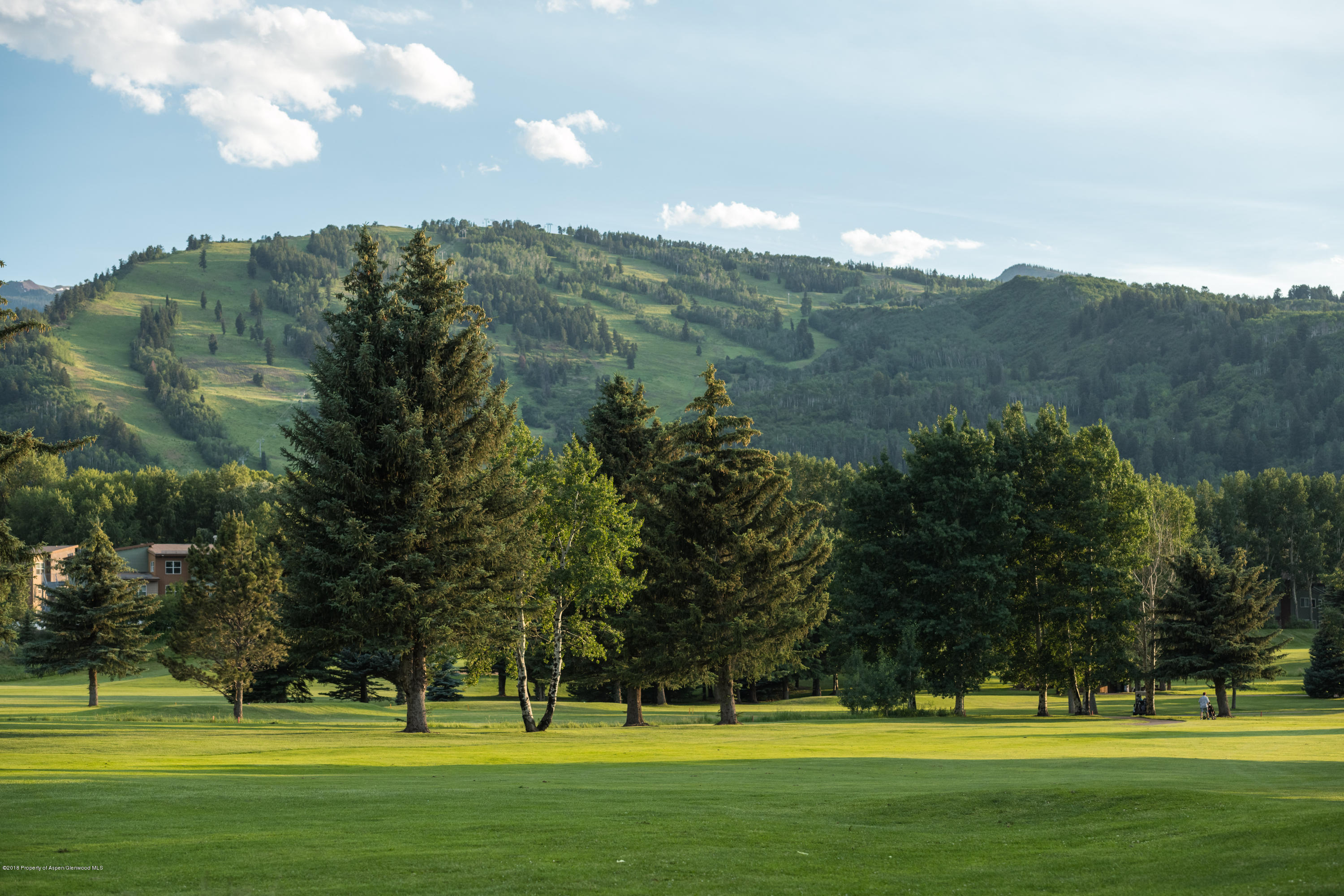 1425 Sierra Vista Aspen CO 81611