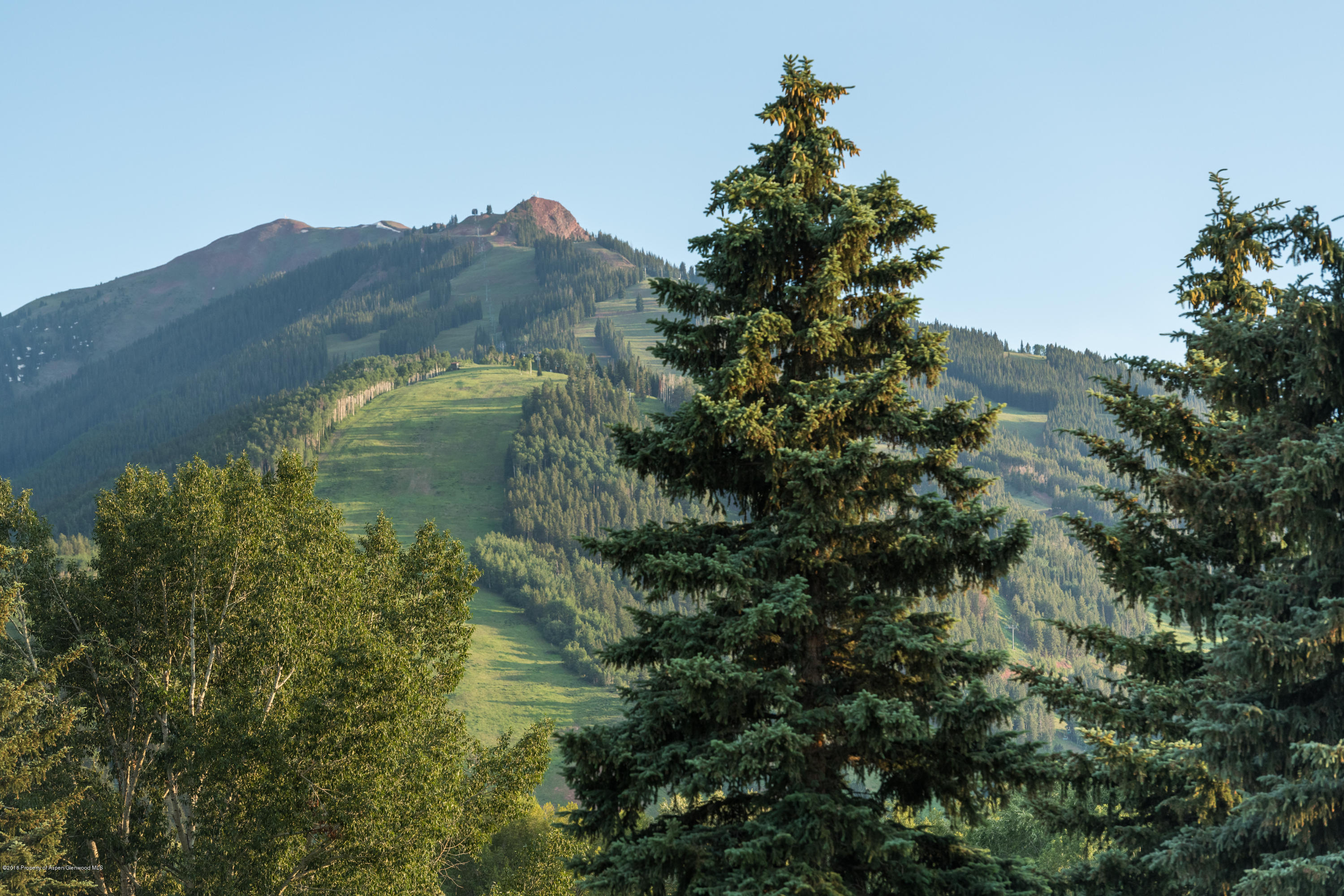 1425 Sierra Vista Aspen CO 81611