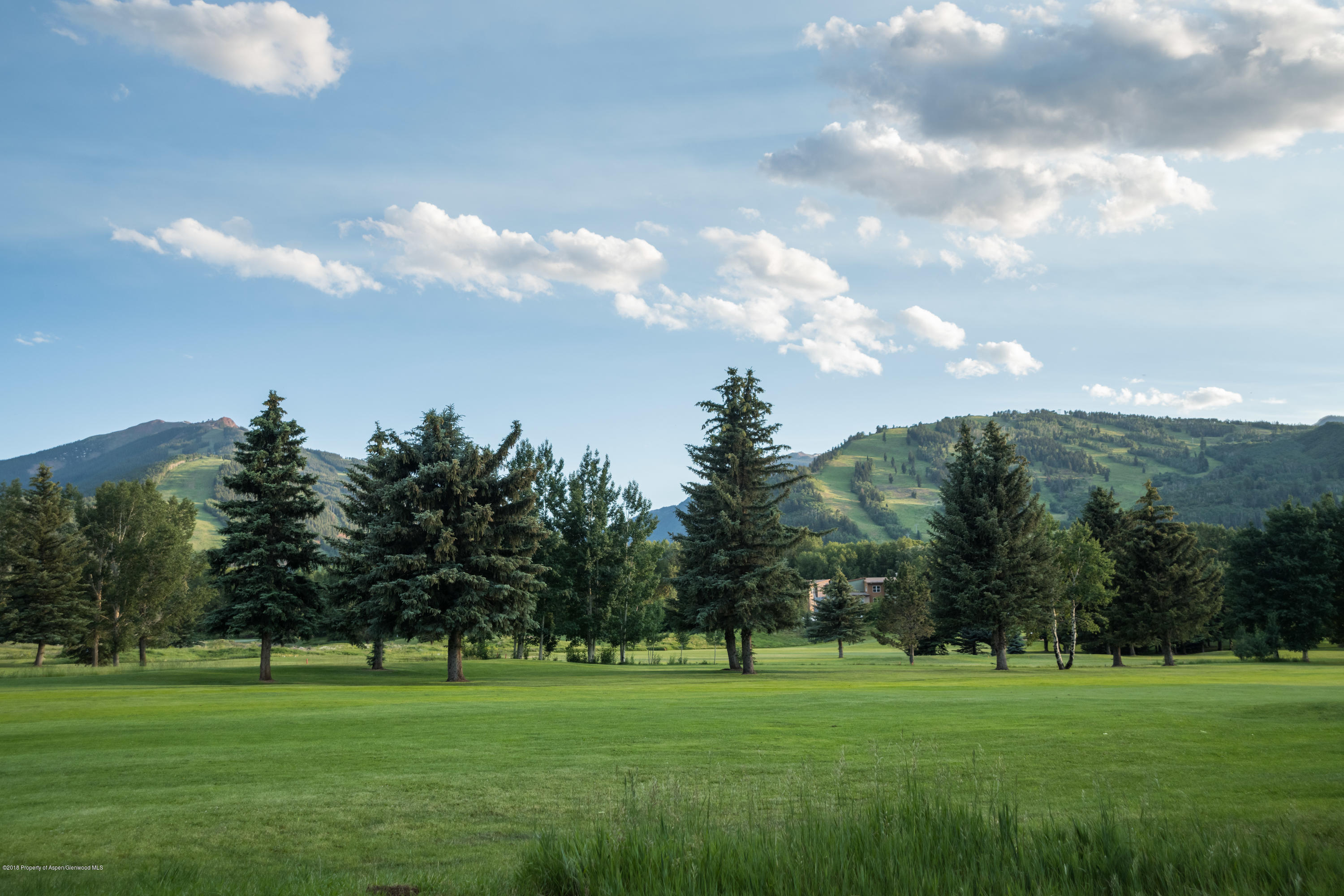 1425 Sierra Vista Aspen CO 81611