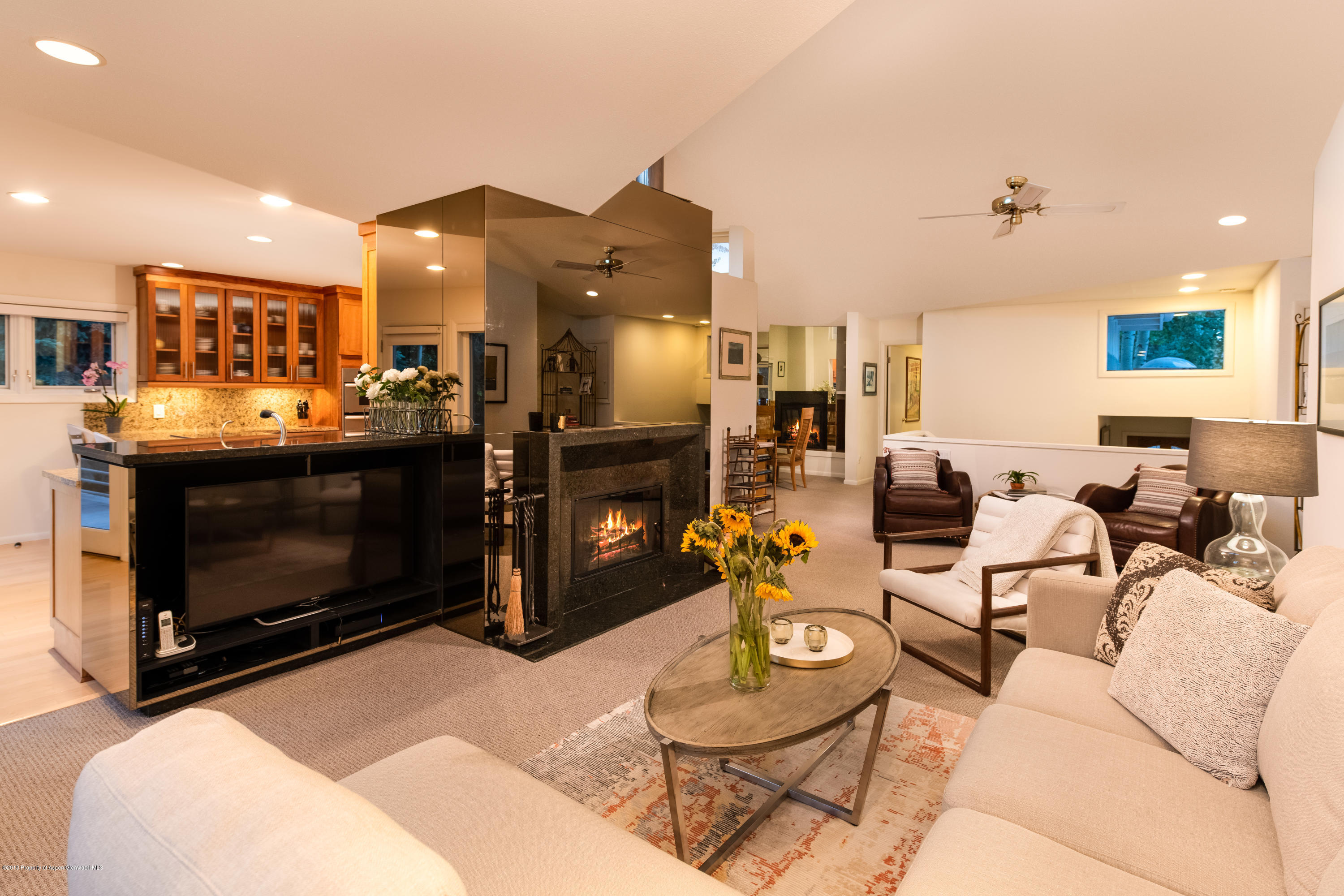 1425 Sierra Vista Aspen CO 81611