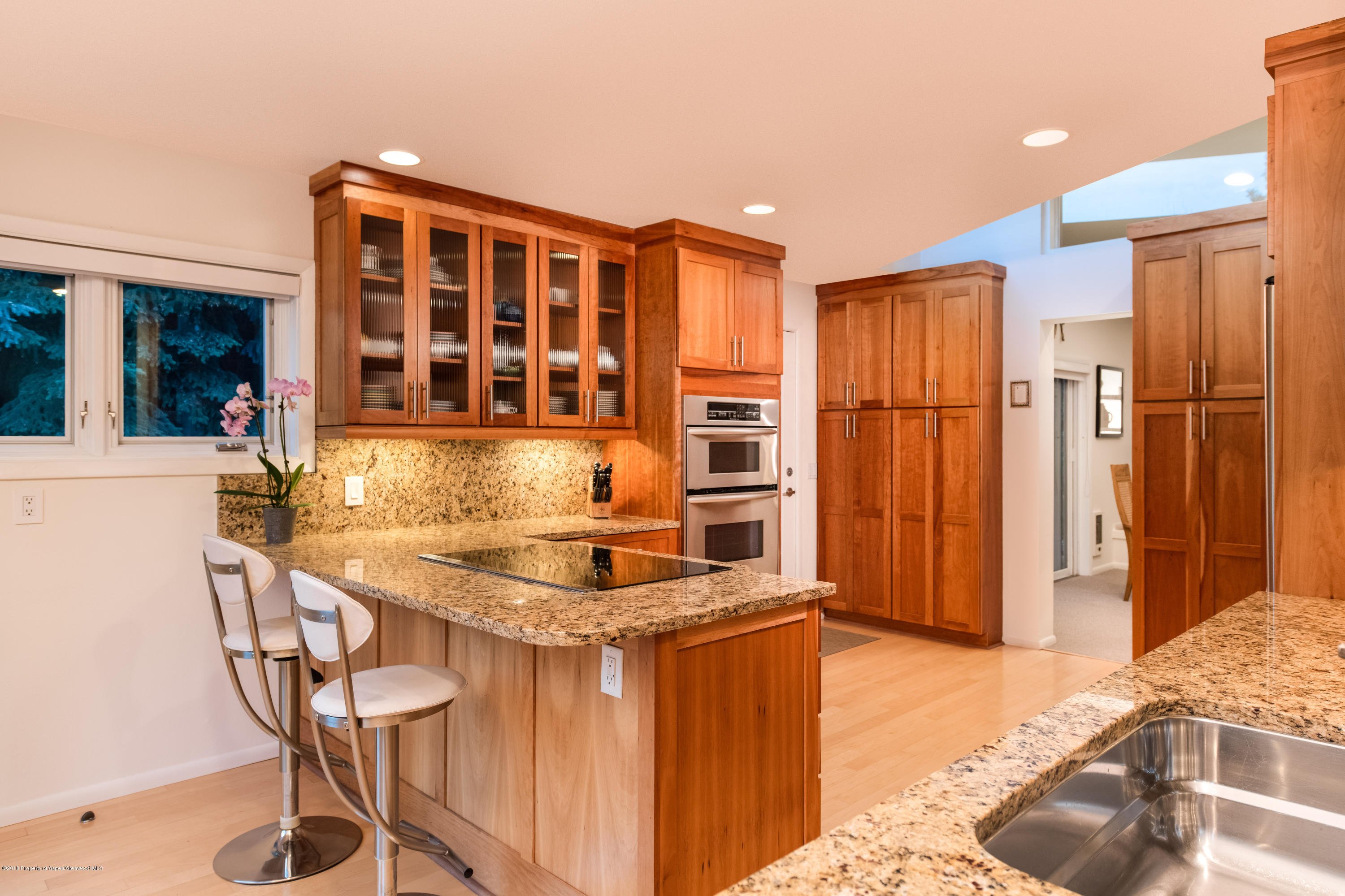 1425 Sierra Vista Aspen CO 81611