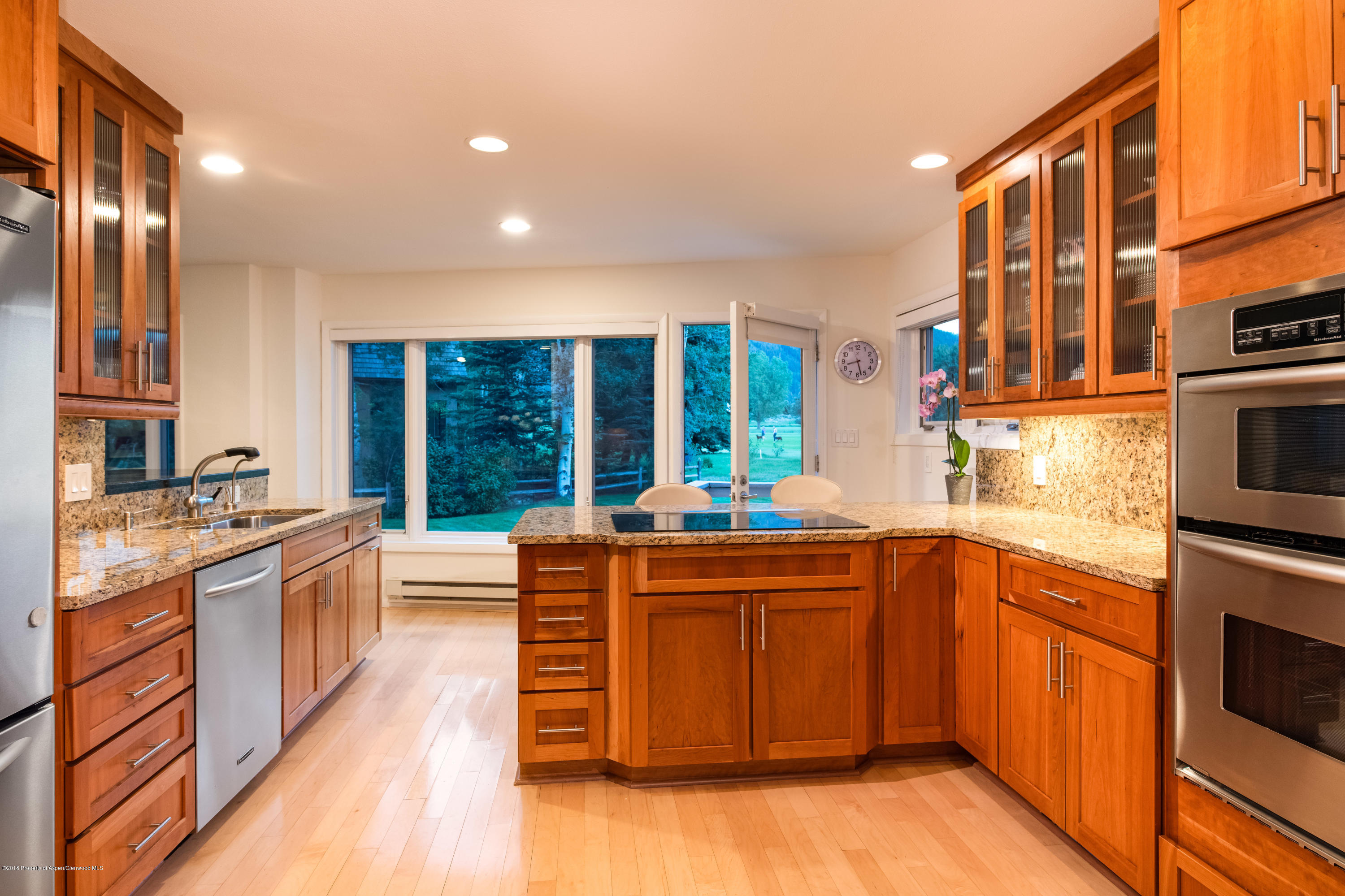 1425 Sierra Vista Aspen CO 81611