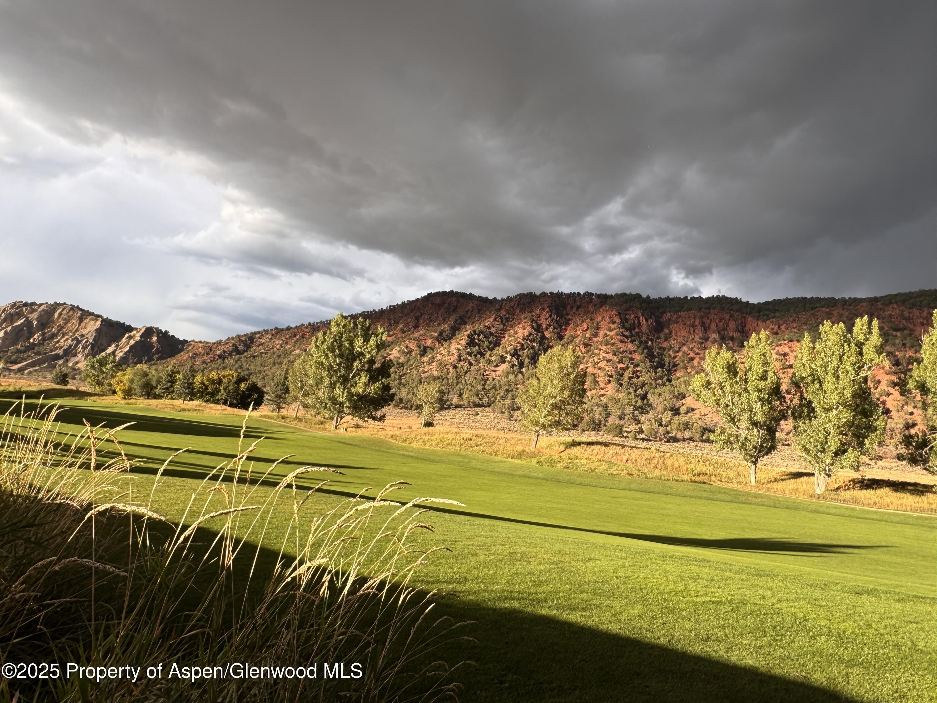 65 Upland Lane Carbondale CO 81623