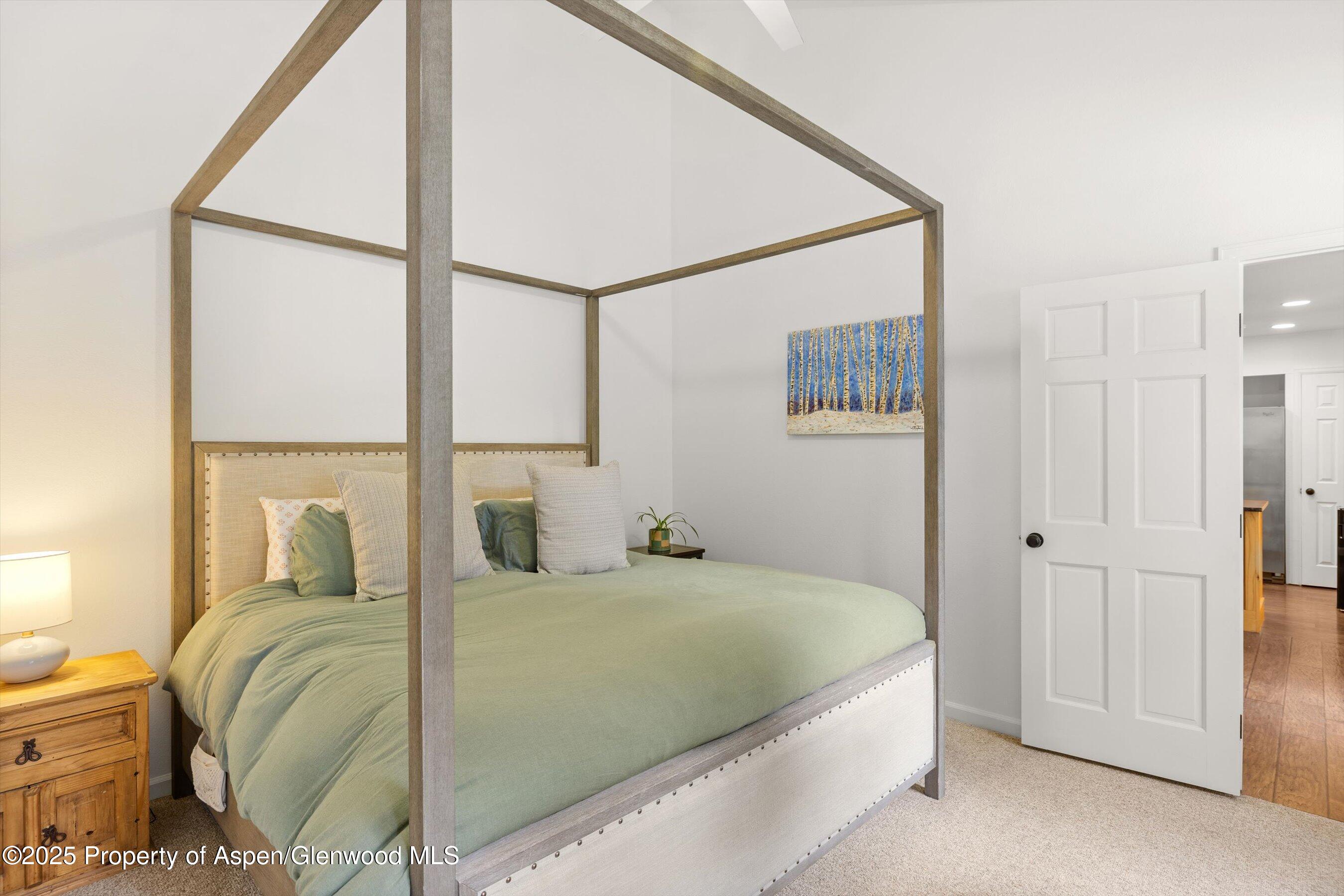 196 Dakota Meadows Drive Carbondale CO 81623