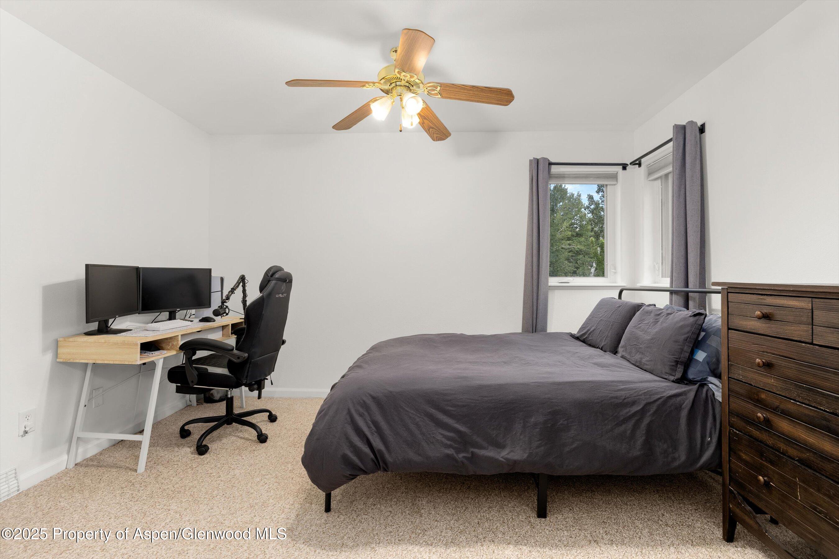 196 Dakota Meadows Drive Carbondale CO 81623