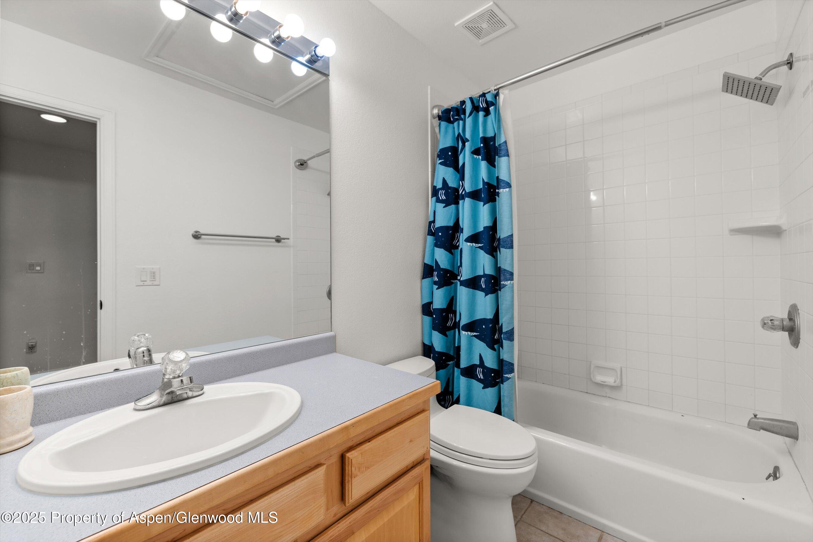 196 Dakota Meadows Drive Carbondale CO 81623