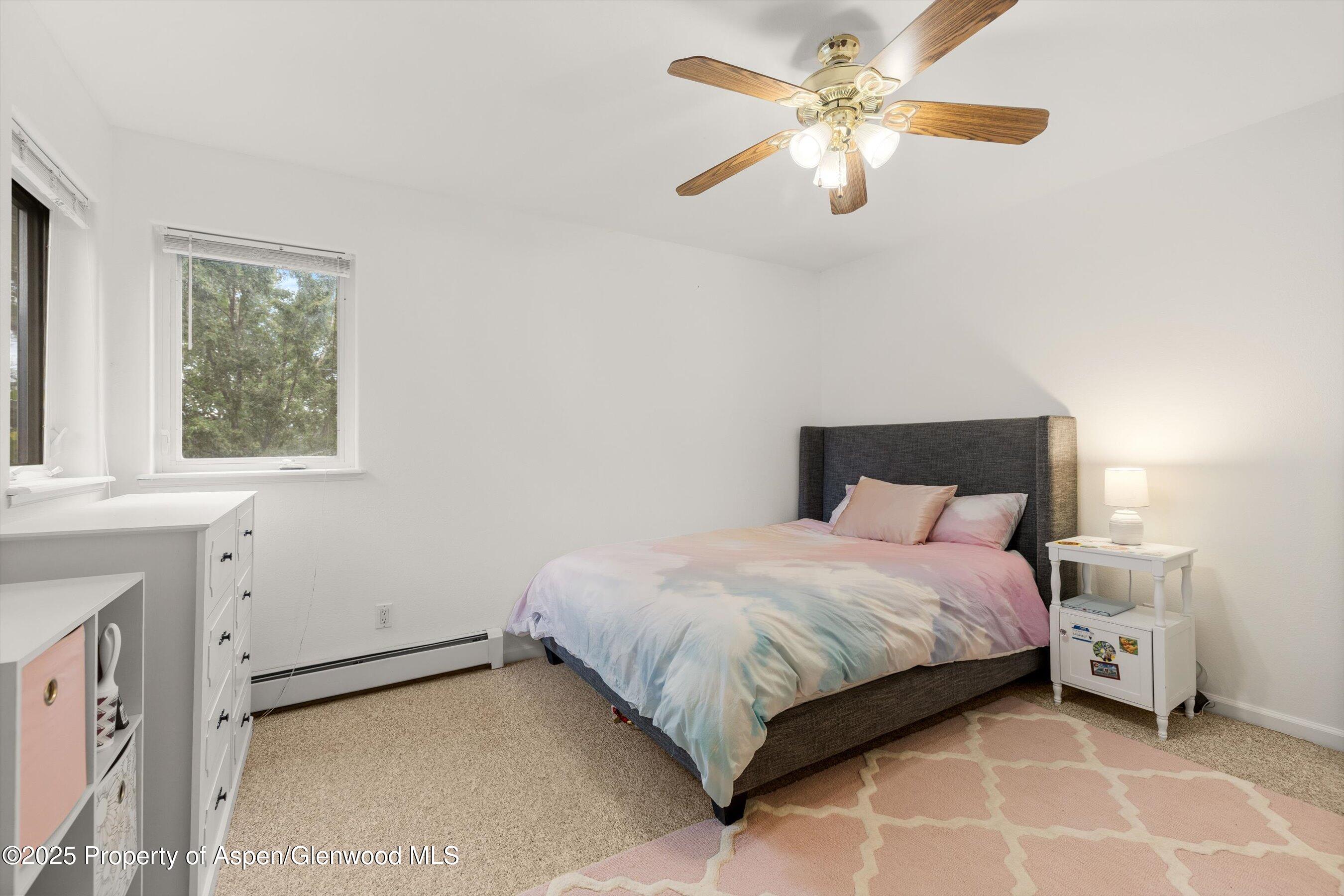 196 Dakota Meadows Drive Carbondale CO 81623