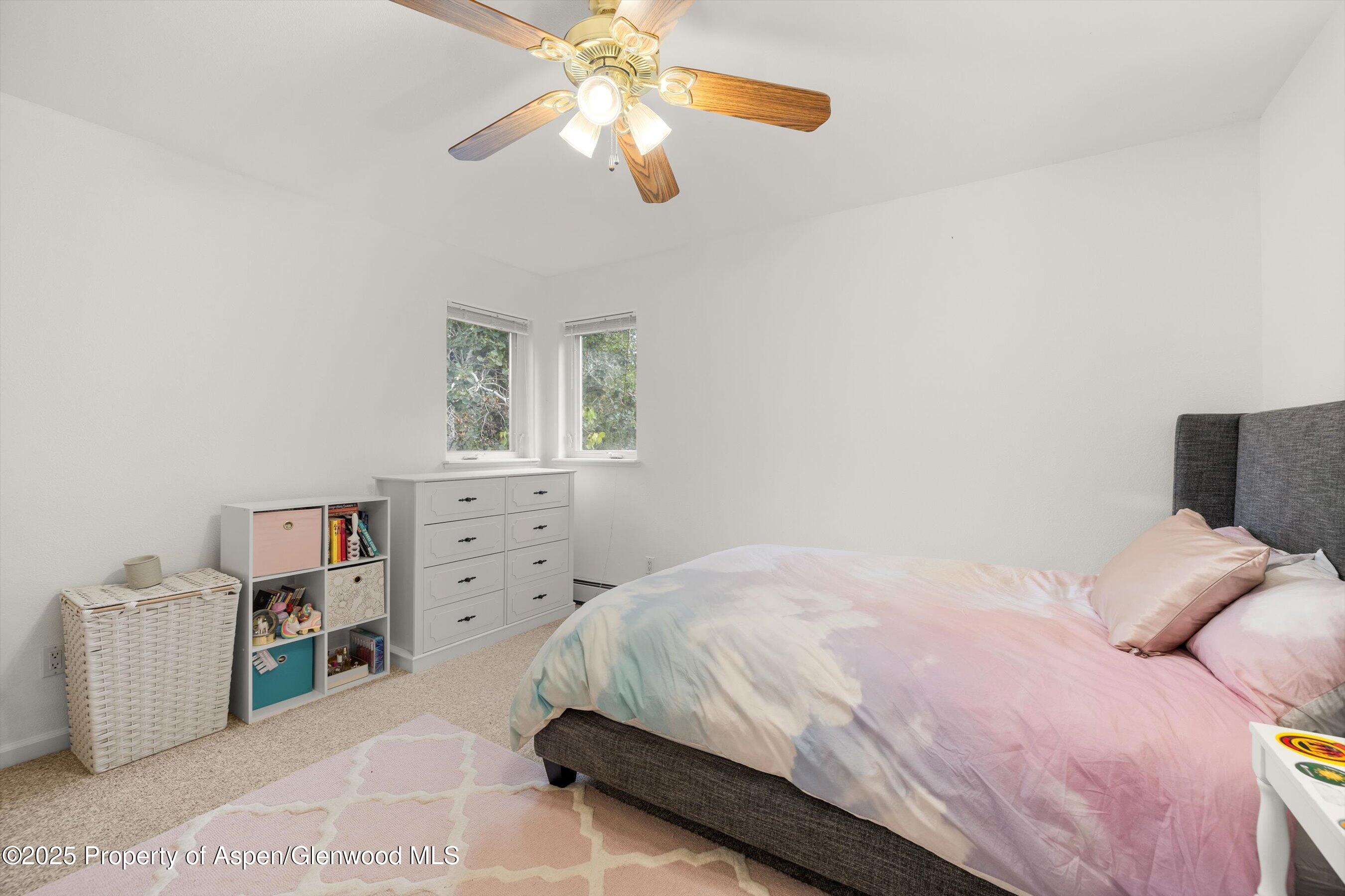 196 Dakota Meadows Drive Carbondale CO 81623