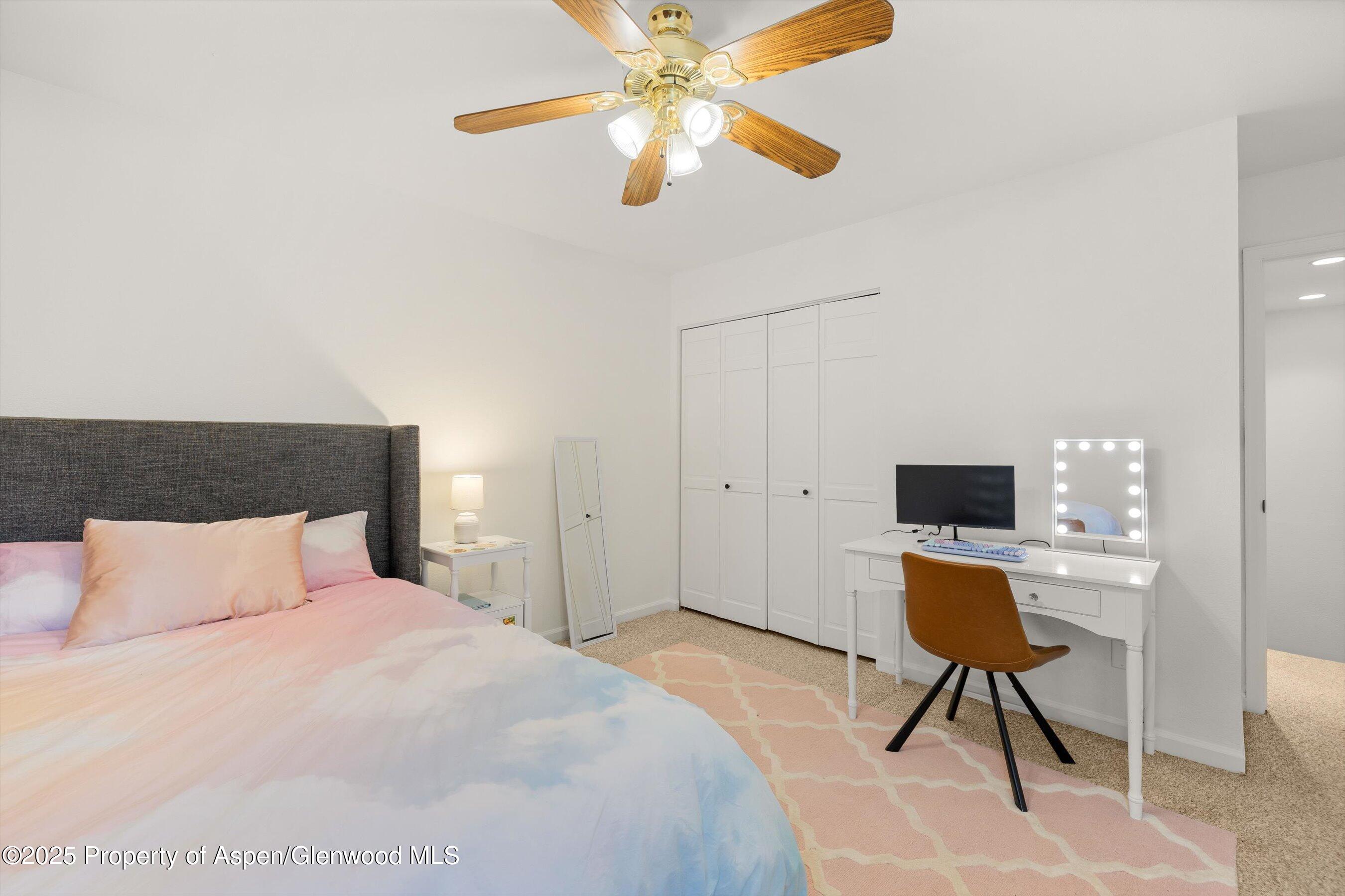 196 Dakota Meadows Drive Carbondale CO 81623