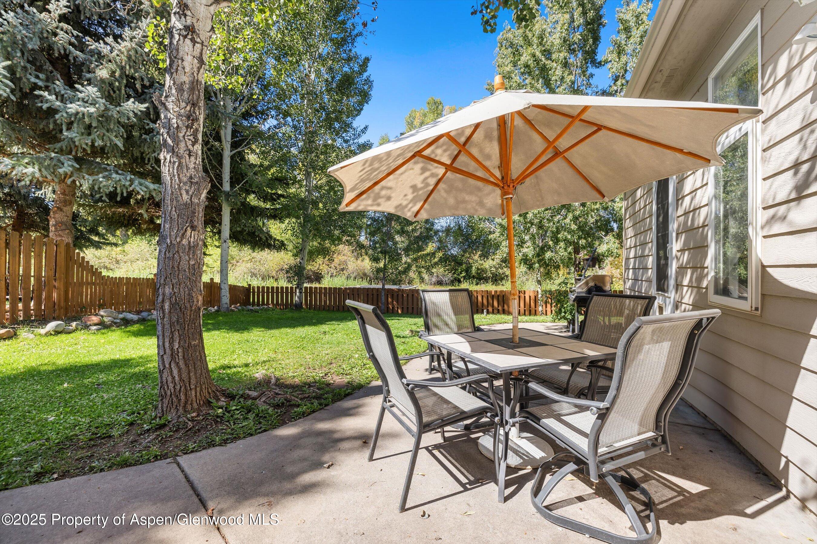 196 Dakota Meadows Drive Carbondale CO 81623