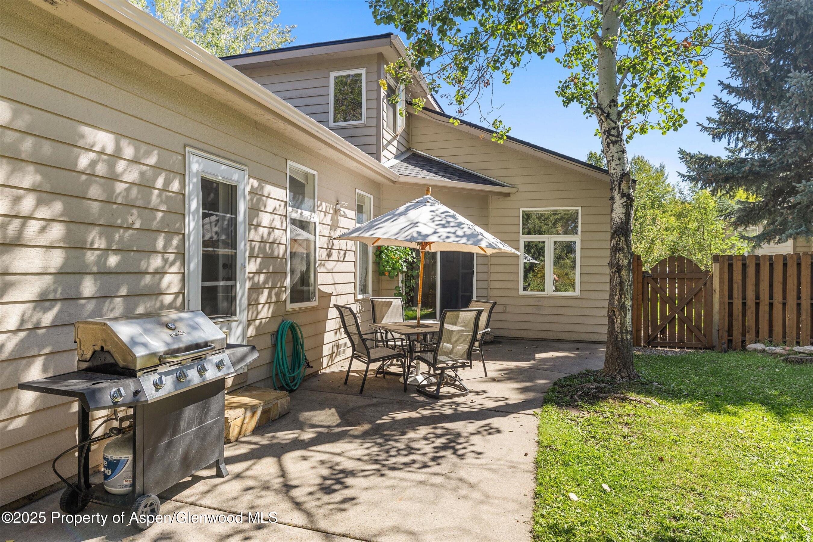 196 Dakota Meadows Drive Carbondale CO 81623