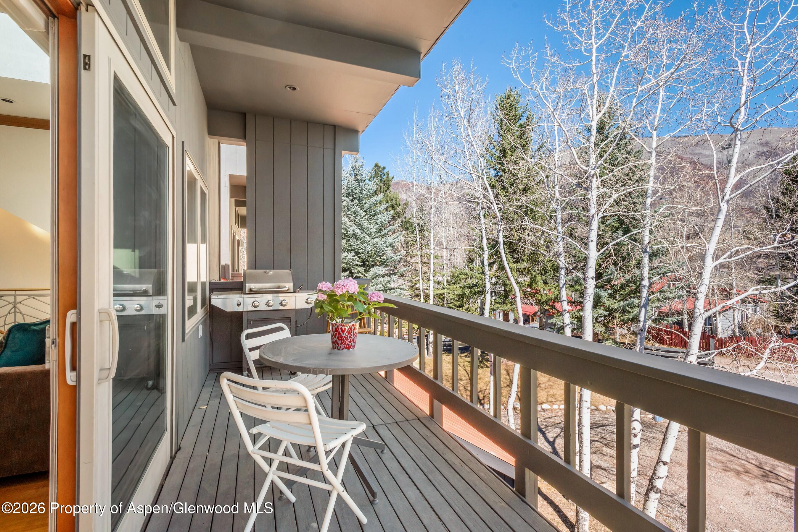 1085 Cemetery Lane Aspen CO 81611