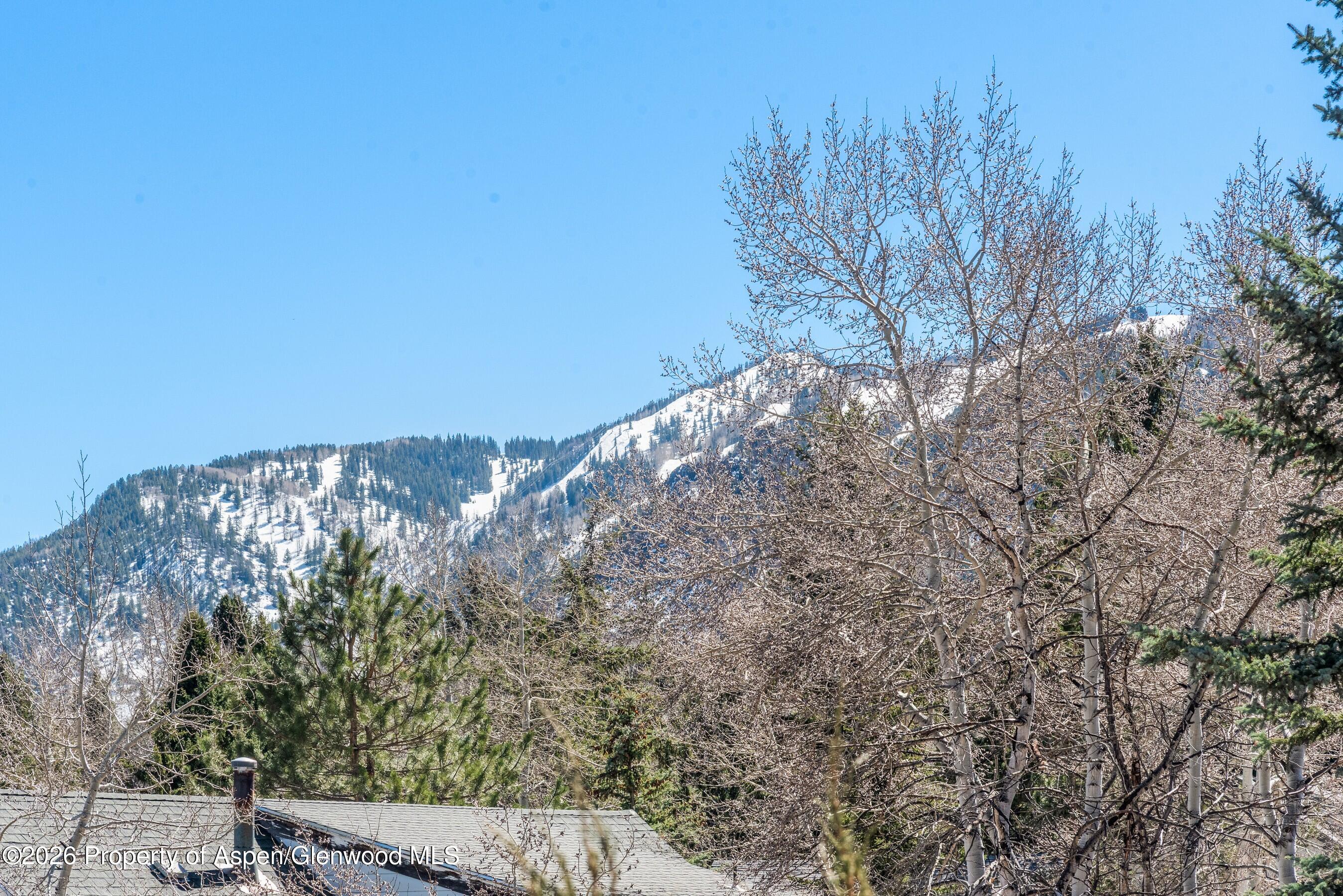 1085 Cemetery Lane Aspen CO 81611