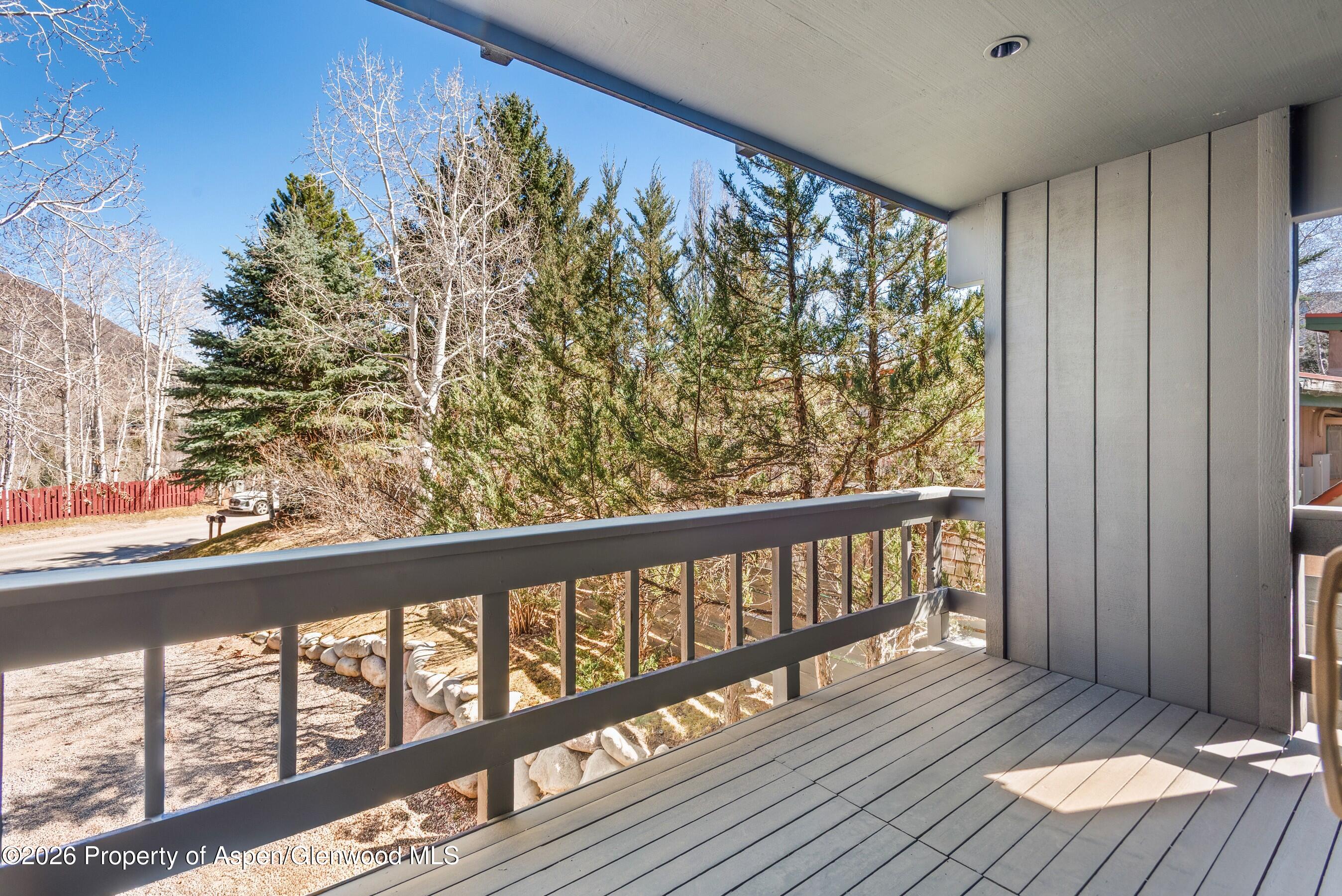 1085 Cemetery Lane Aspen CO 81611