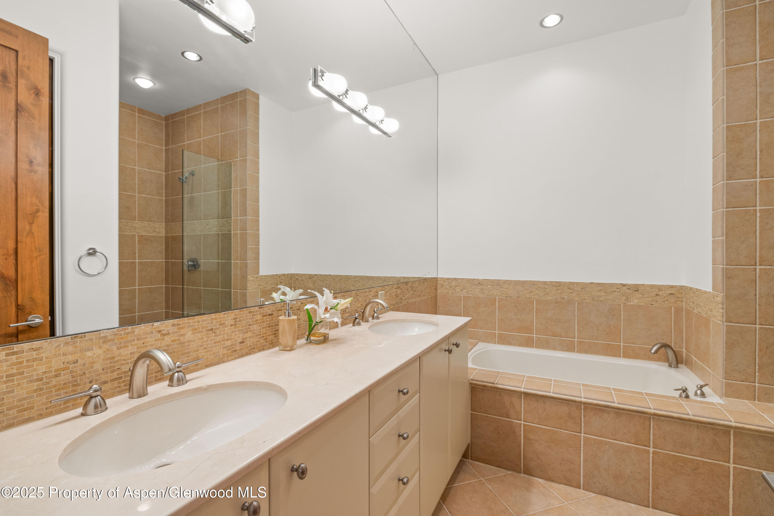 824 Bonita Drive Aspen CO 81611