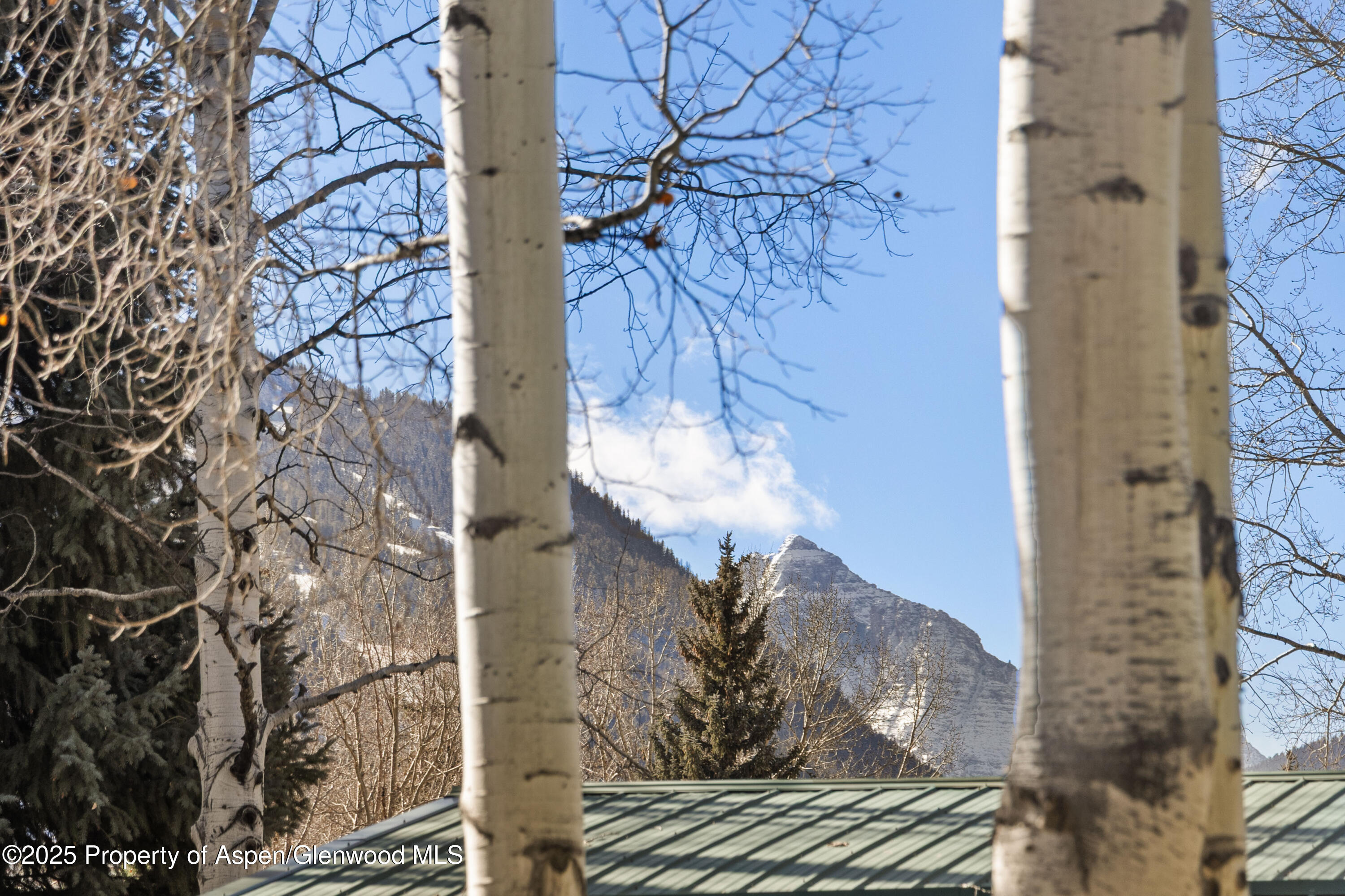 824 Bonita Drive Aspen CO 81611