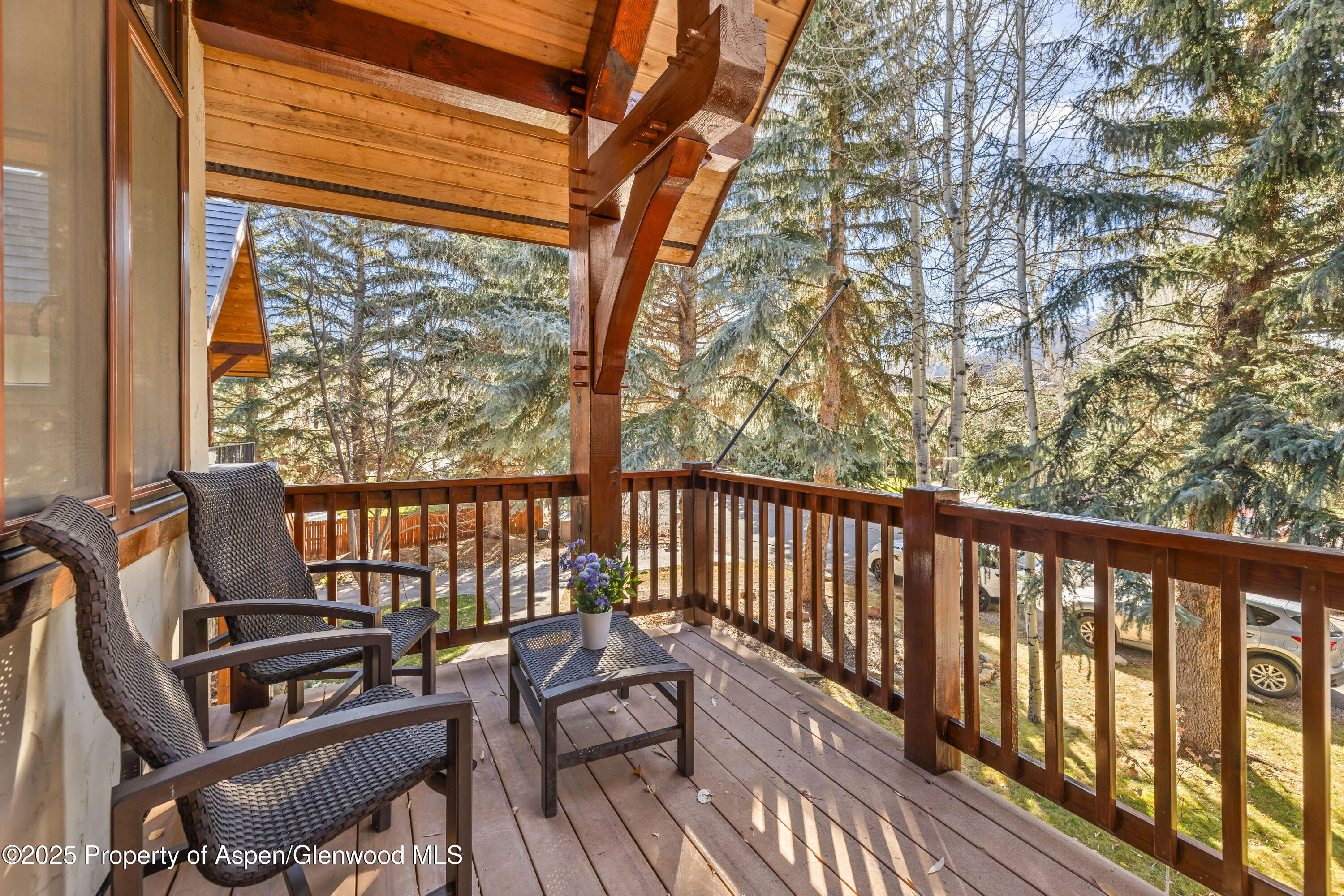 824 Bonita Drive Aspen CO 81611