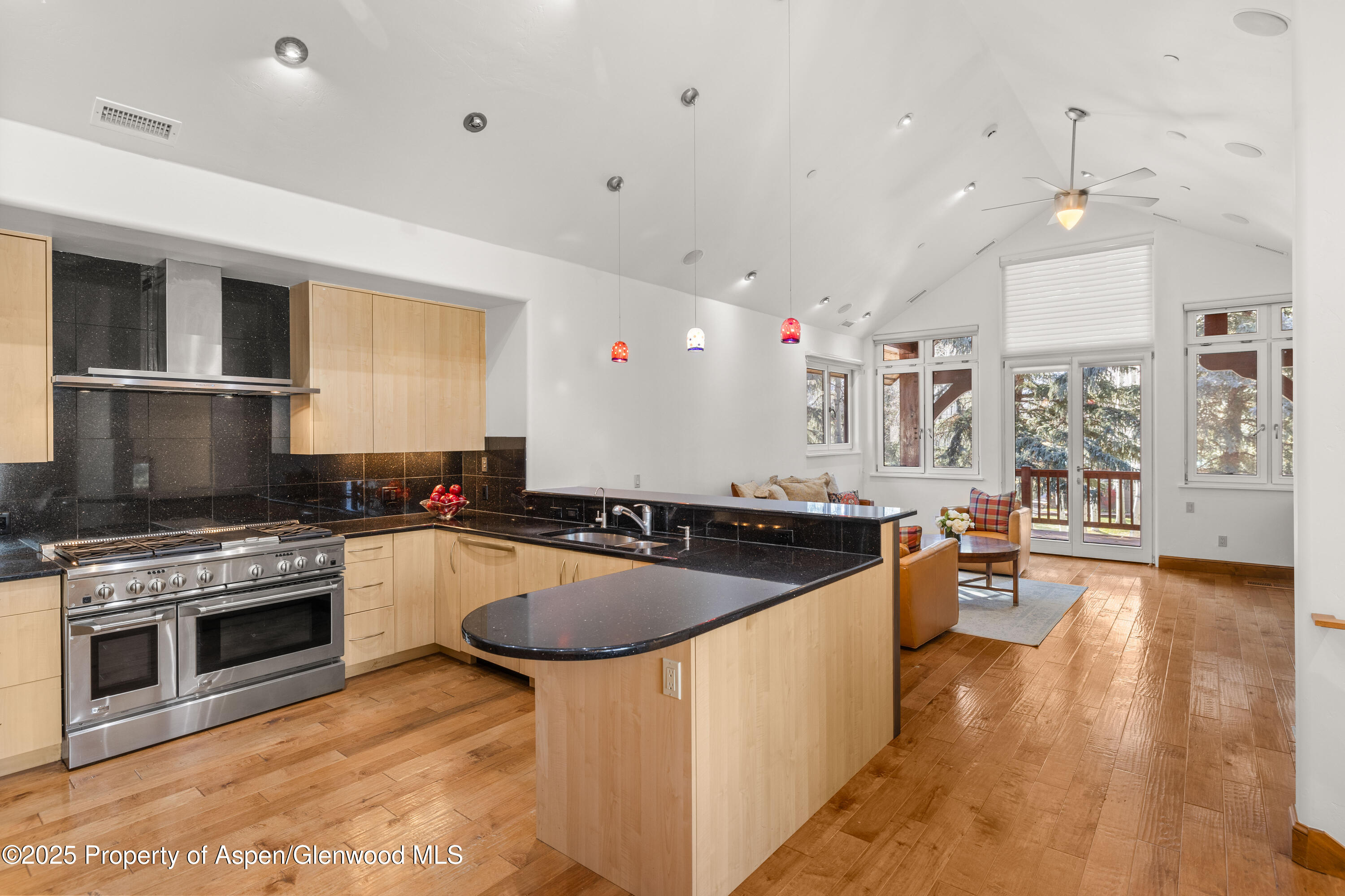 824 Bonita Drive Aspen CO 81611