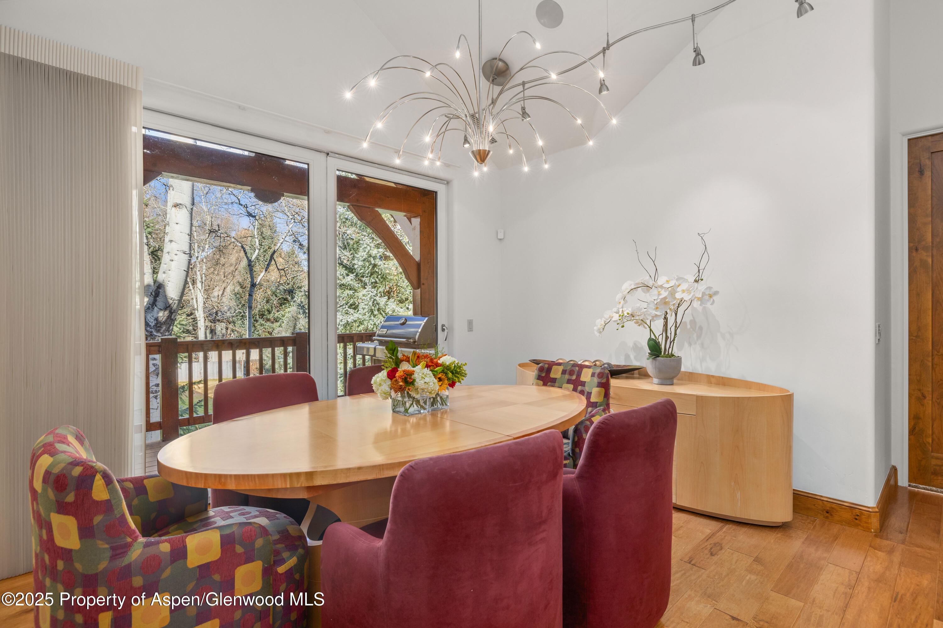 824 Bonita Drive Aspen CO 81611