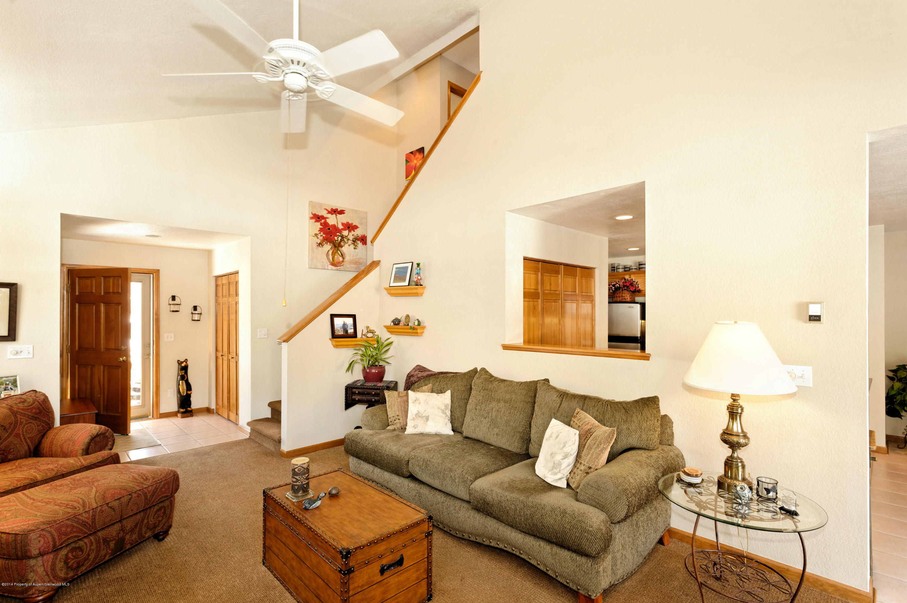 204 Dakota Meadows Drive Carbondale CO 81623