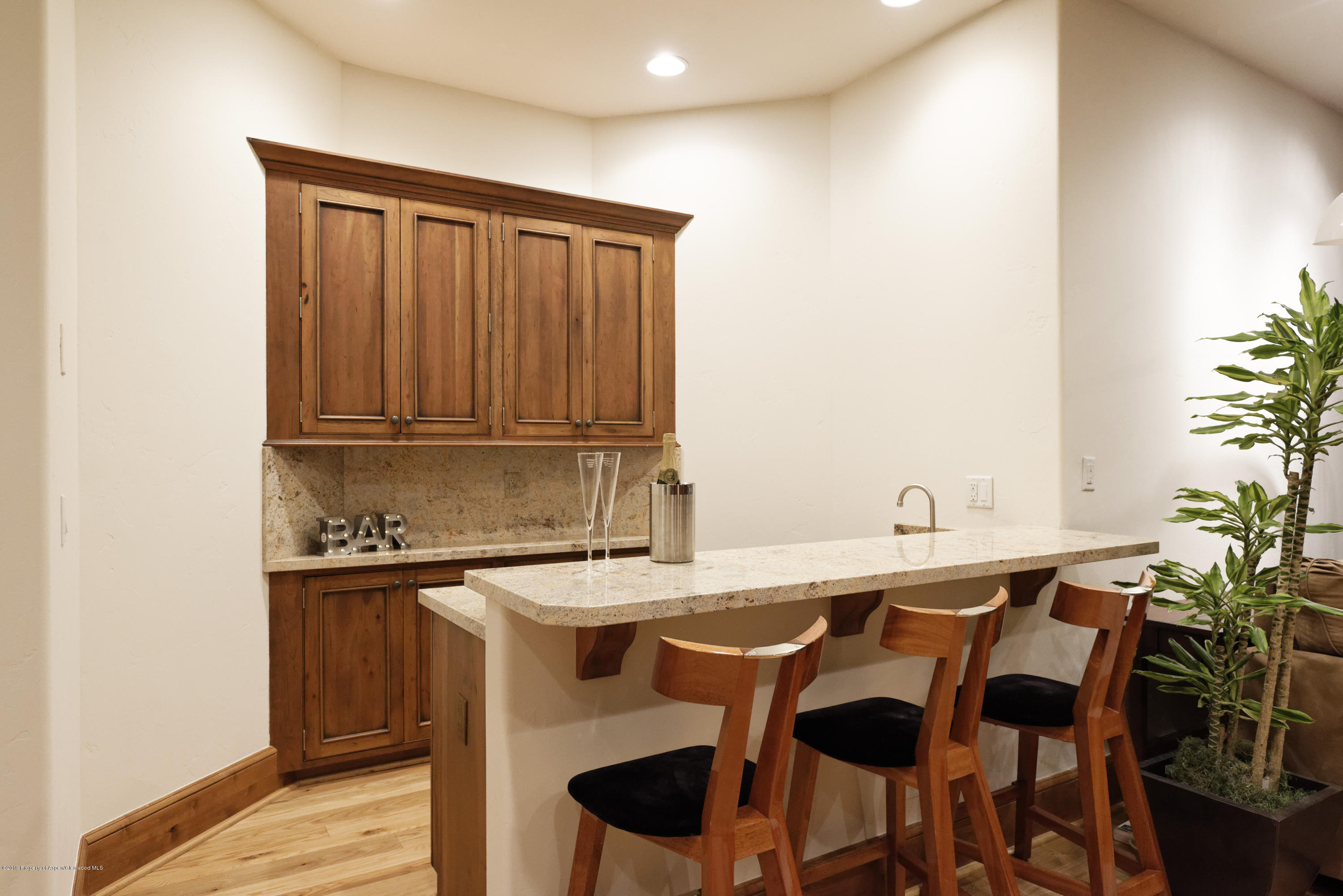 1263 Bunny Court Aspen CO 81611