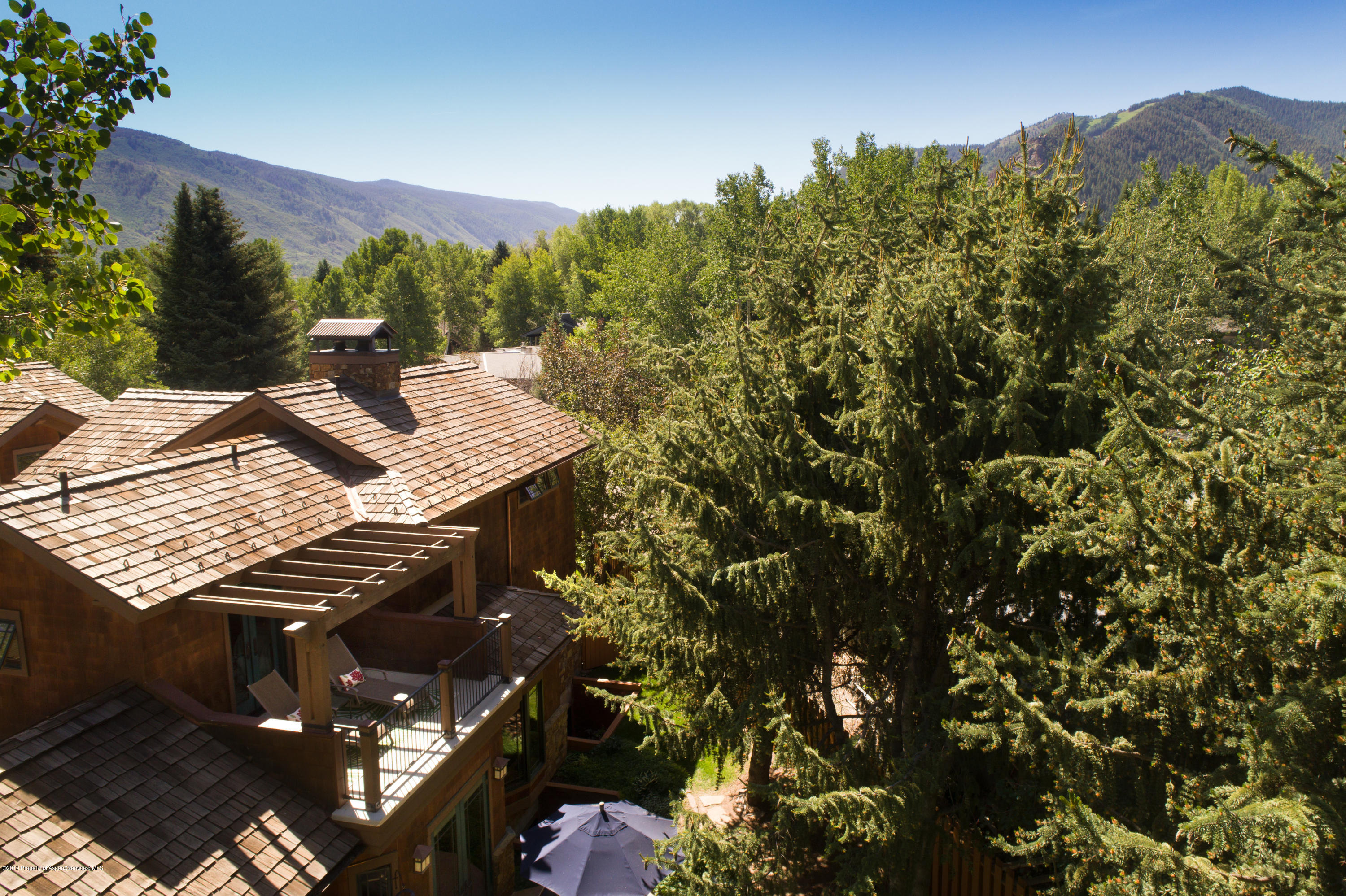 1263 Bunny Court Aspen CO 81611