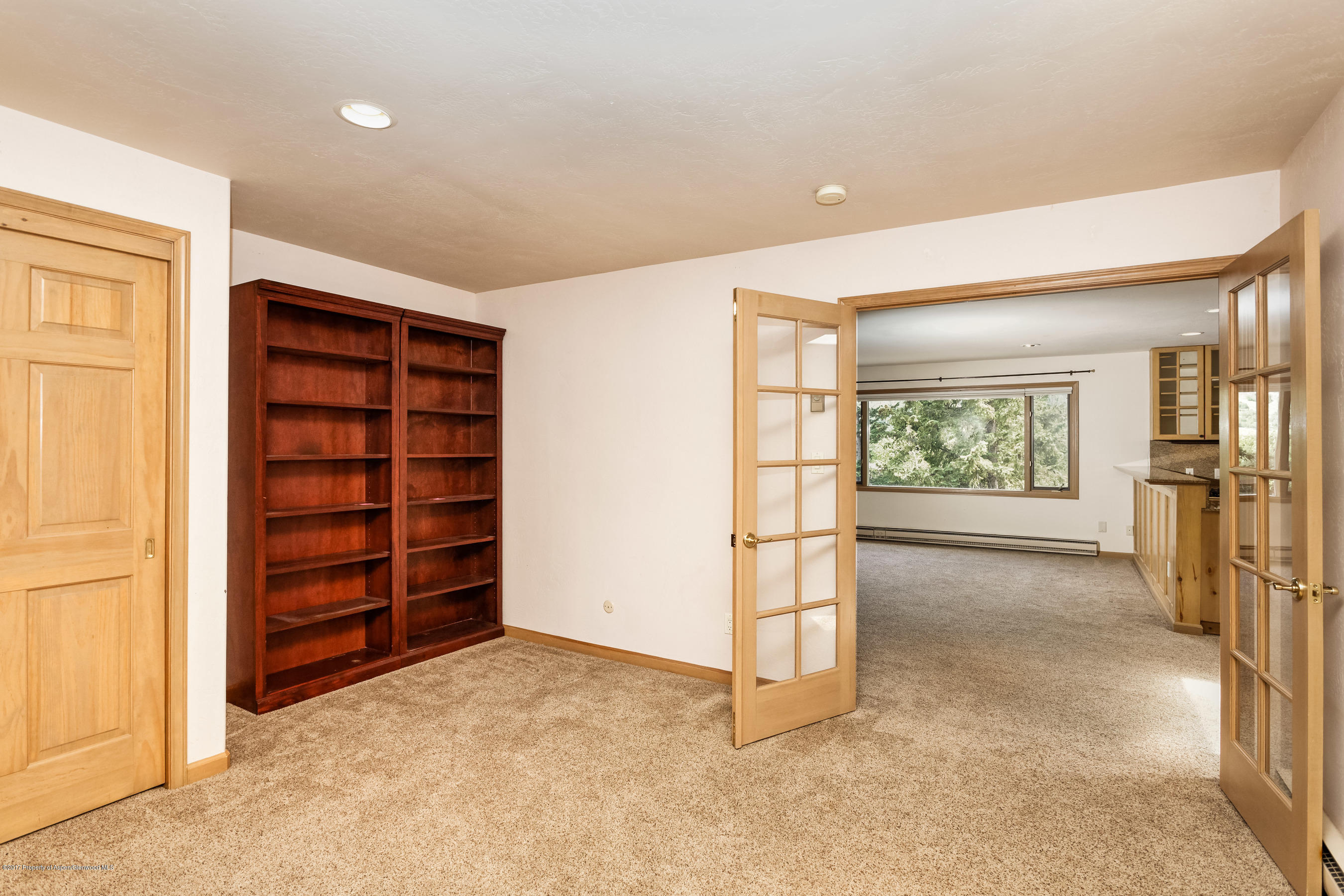 230 Pitkin Mesa Drive Aspen CO 81611