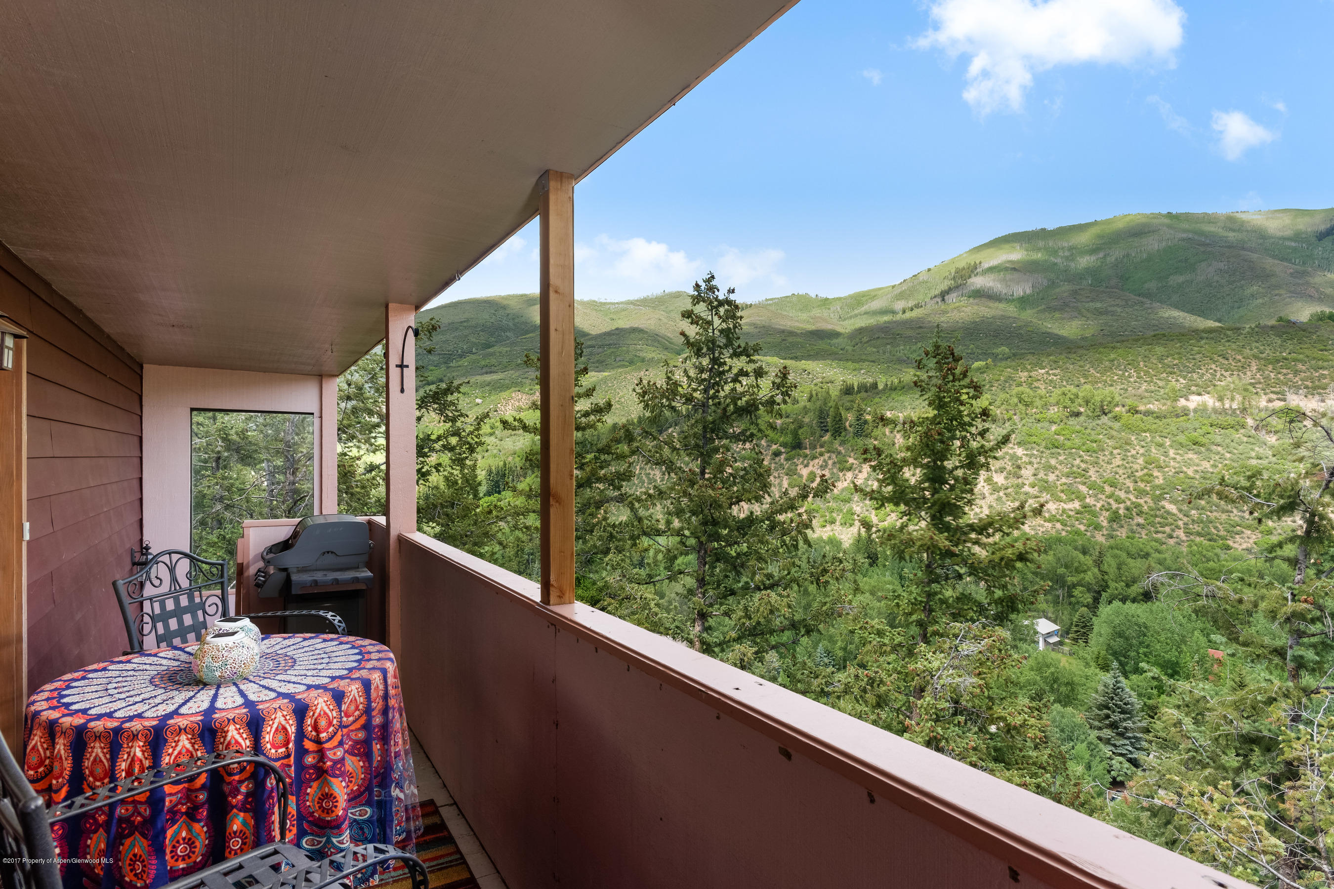 230 Pitkin Mesa Drive Aspen CO 81611