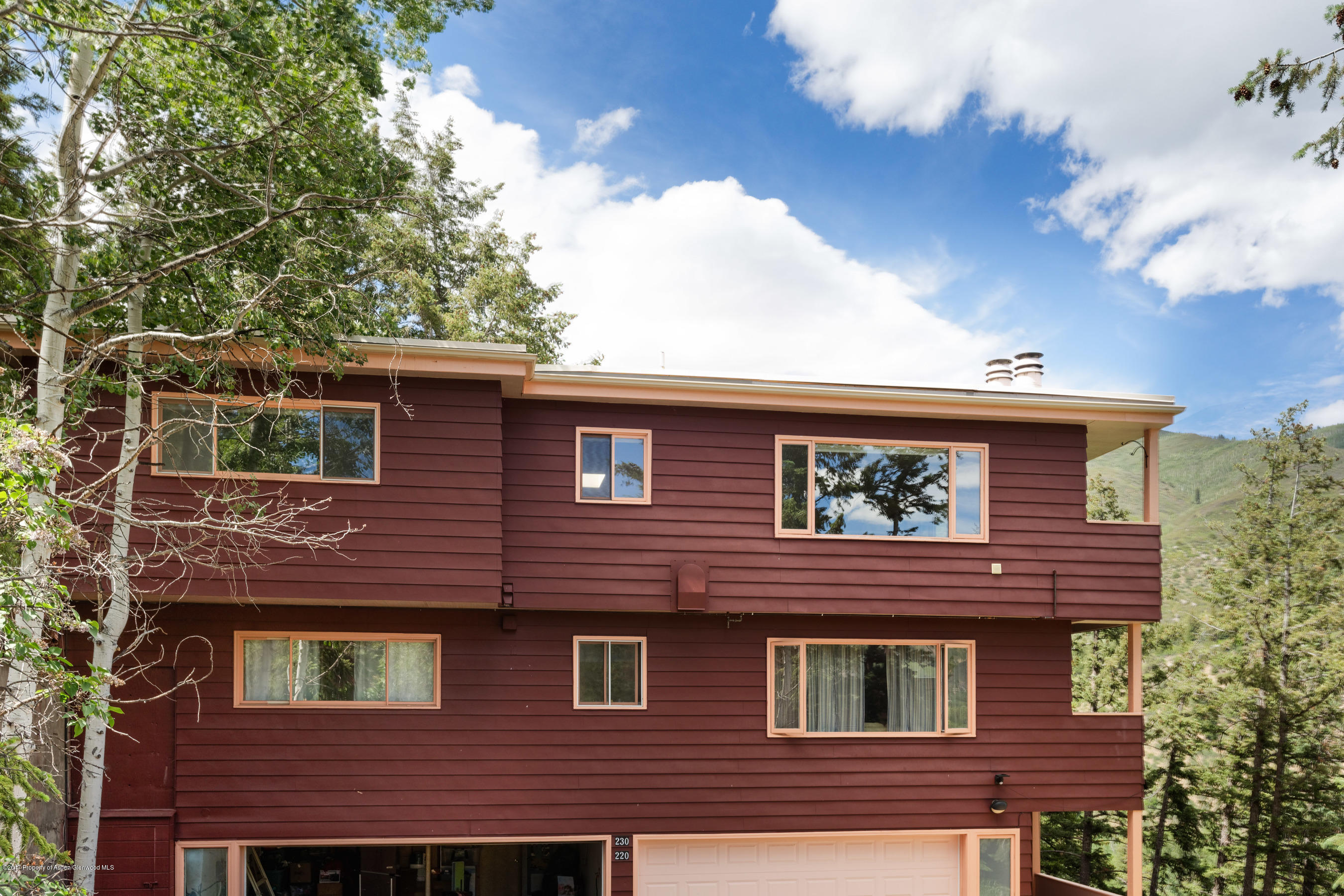 230 Pitkin Mesa Drive Aspen CO 81611