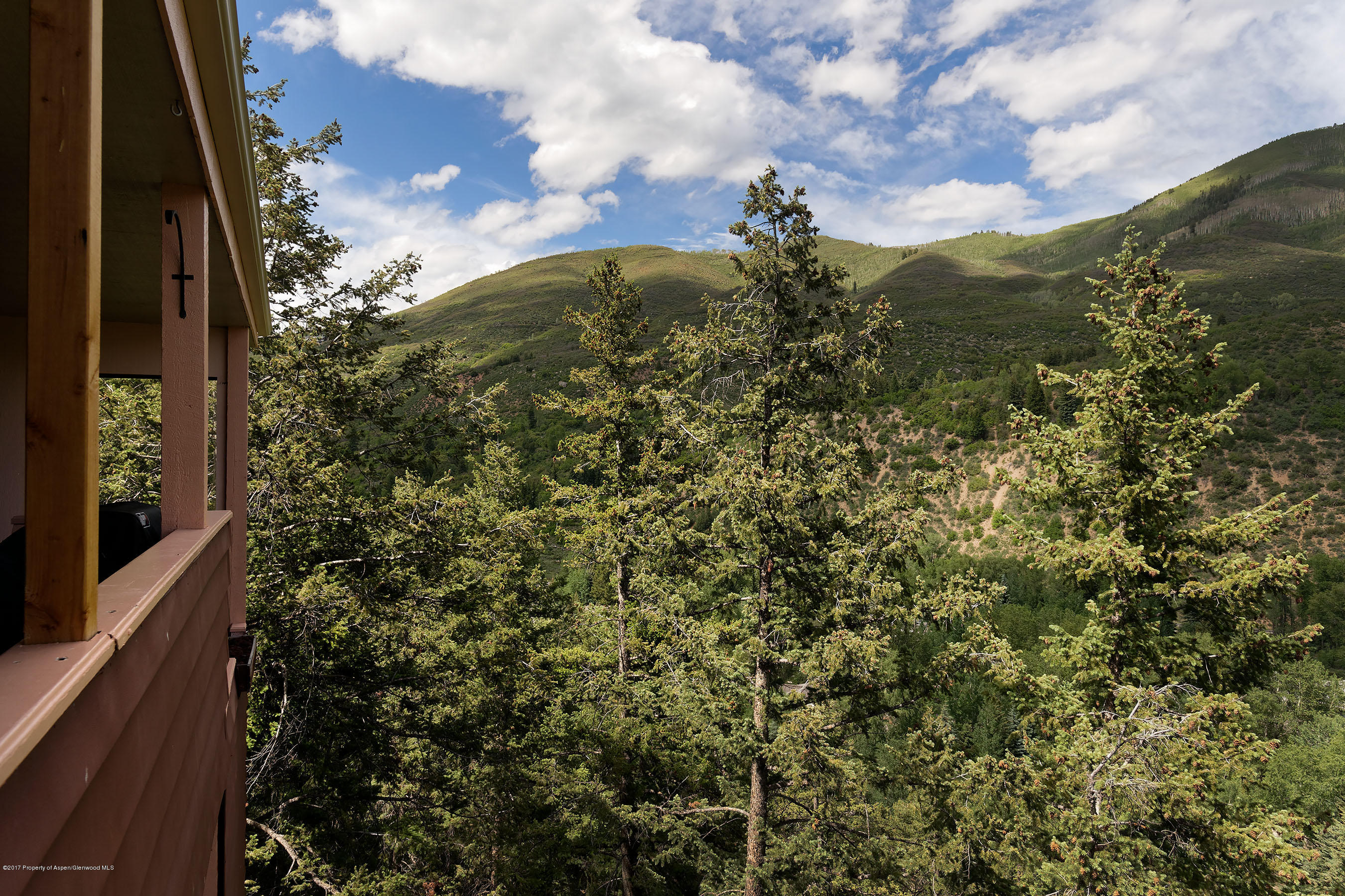 230 Pitkin Mesa Drive Aspen CO 81611