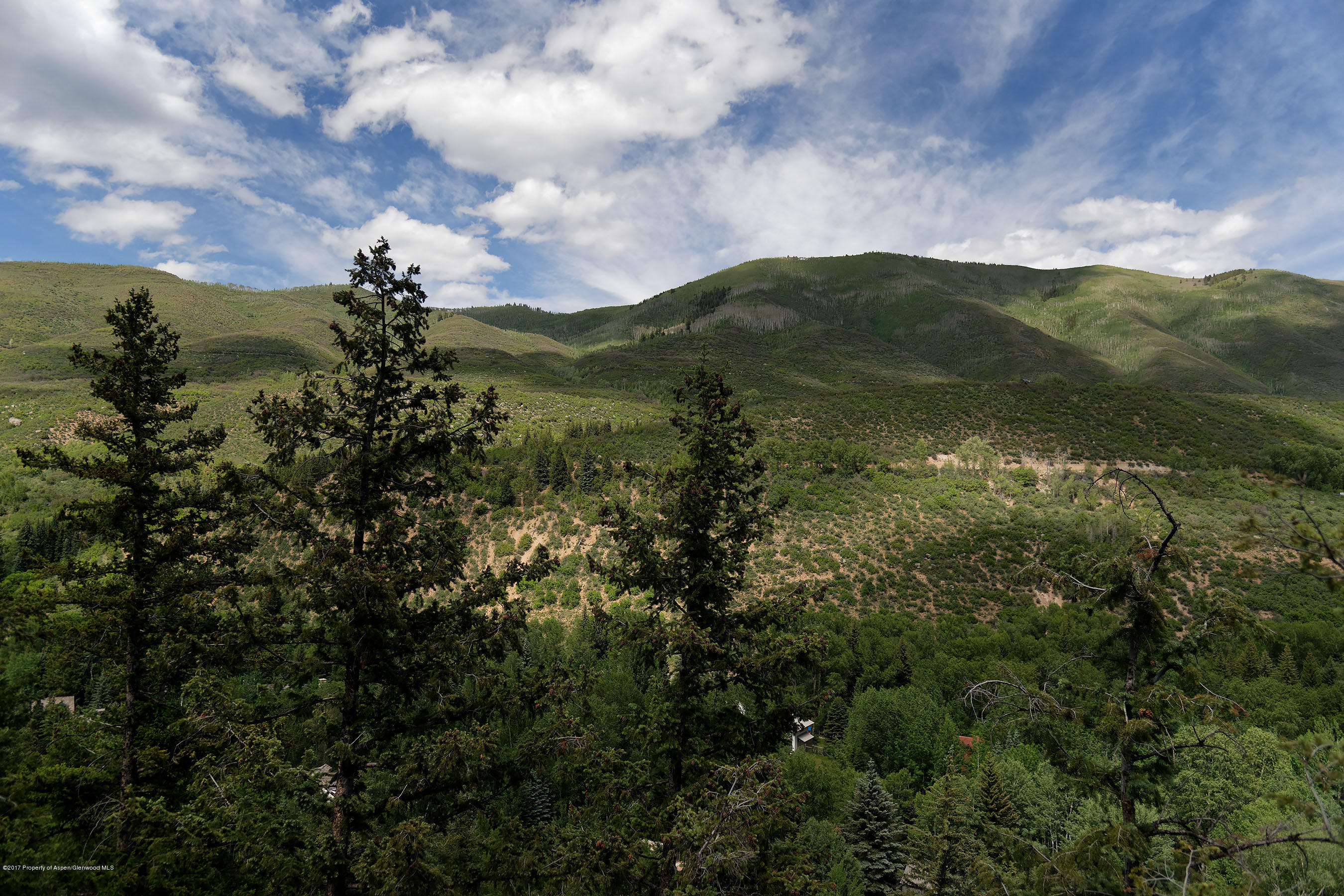 230 Pitkin Mesa Drive Aspen CO 81611