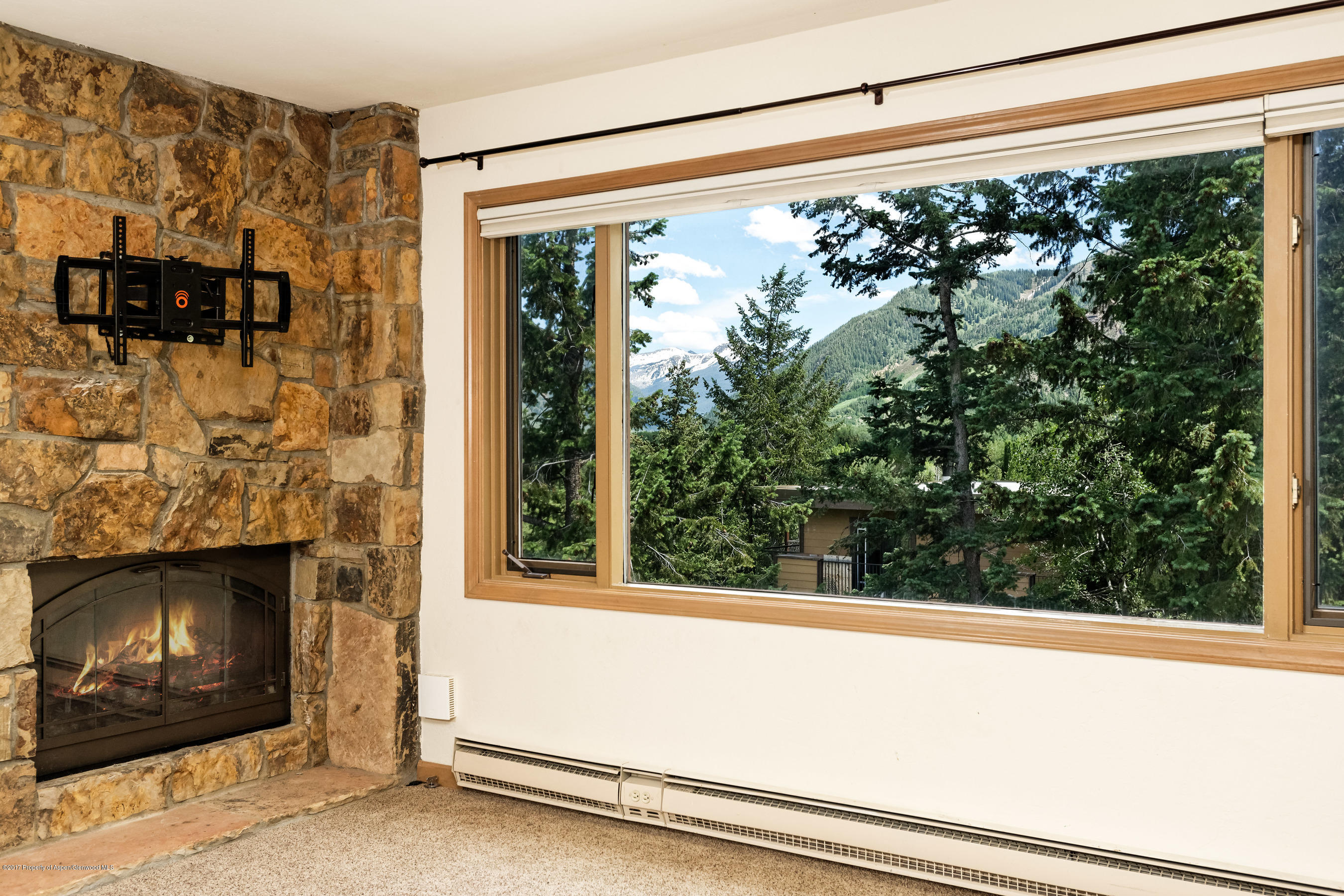 230 Pitkin Mesa Drive Aspen CO 81611