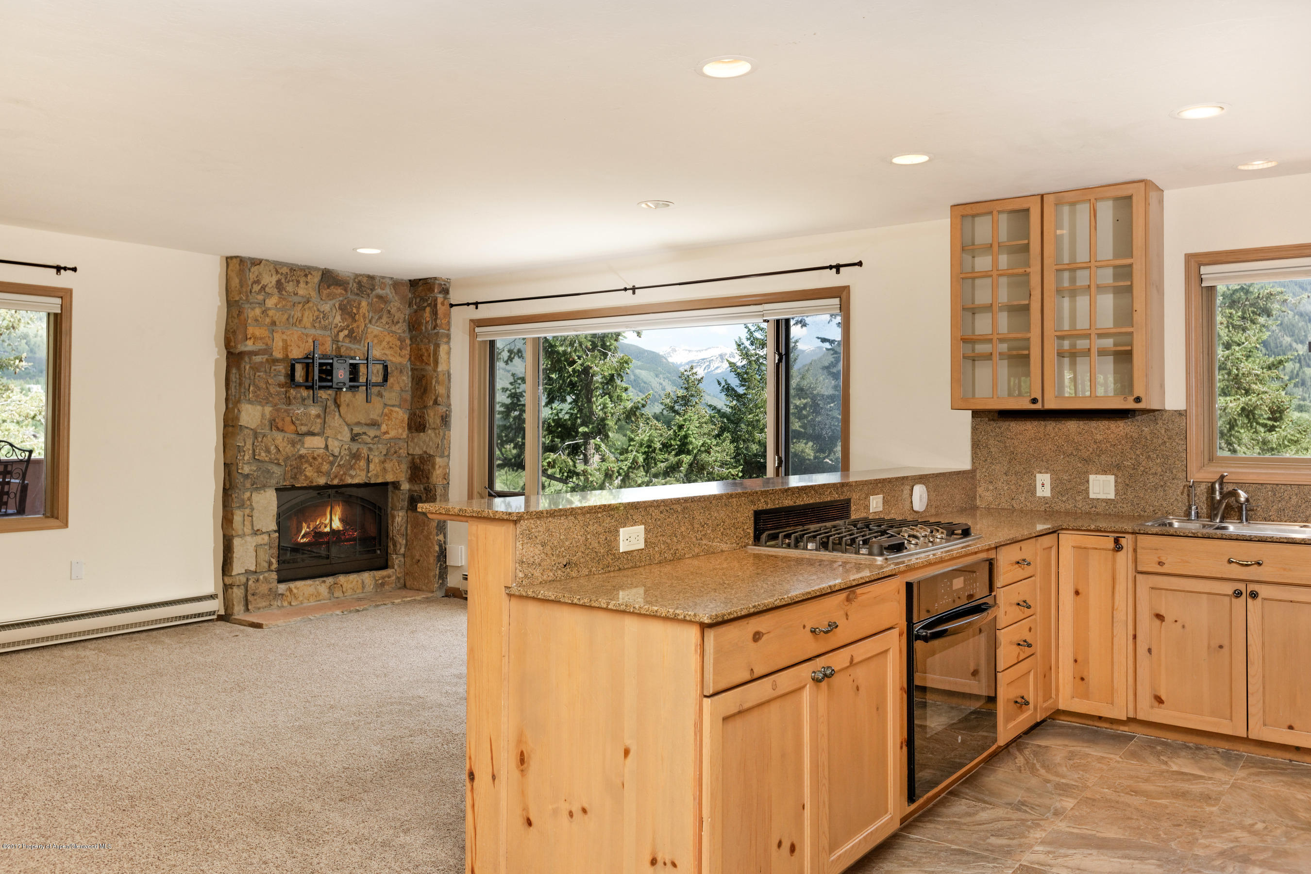 230 Pitkin Mesa Drive Aspen CO 81611