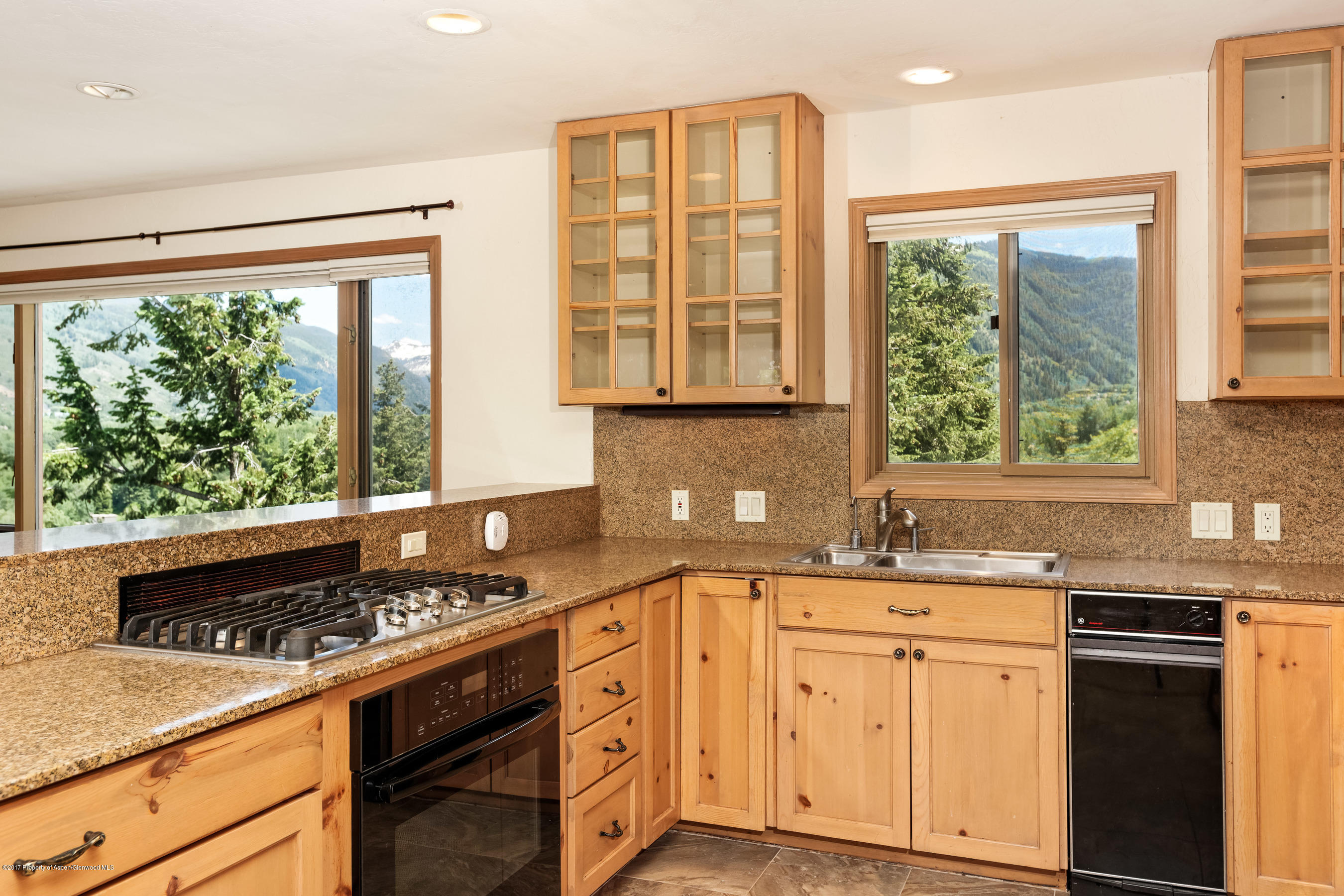230 Pitkin Mesa Drive Aspen CO 81611