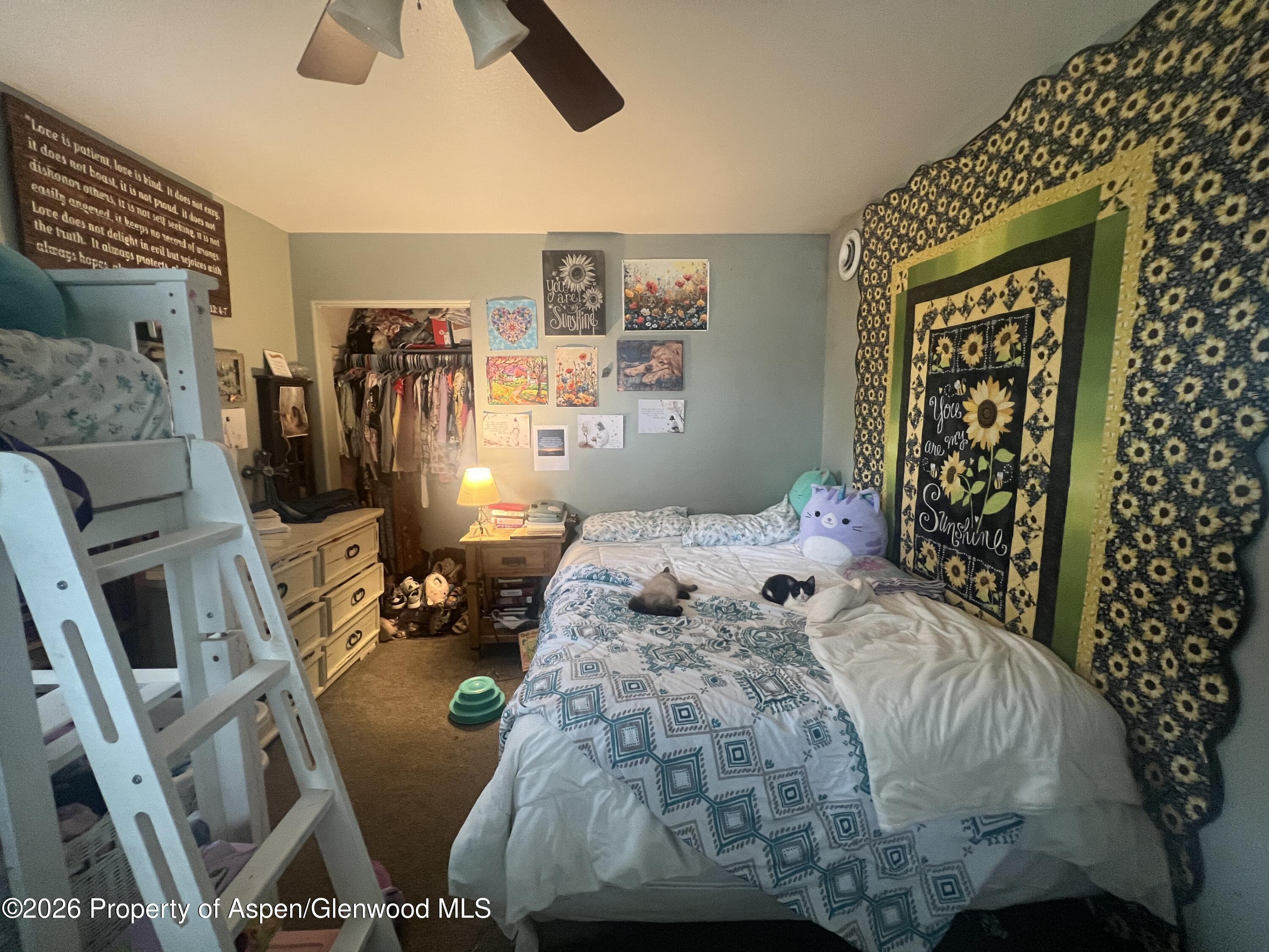 632 Main Street Silt CO 81652