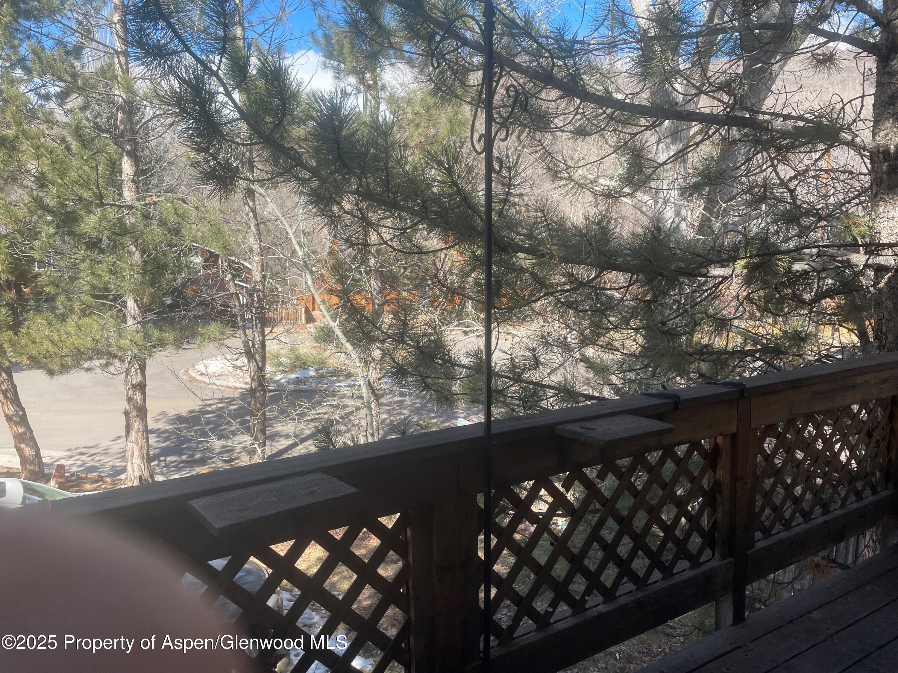 155 Swinging Bridge Lane Basalt CO 81621