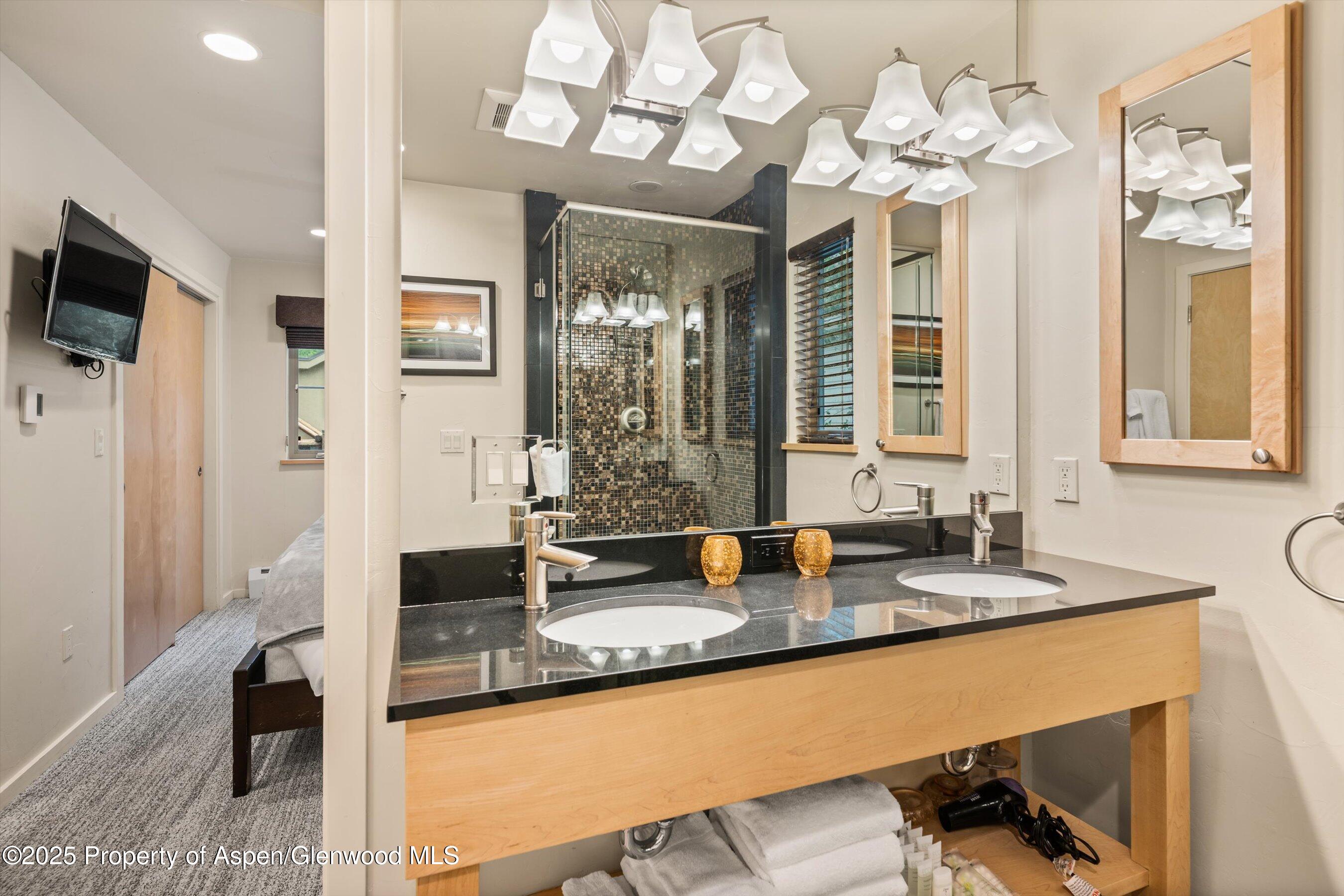 322 Park Avenue Aspen CO 81611