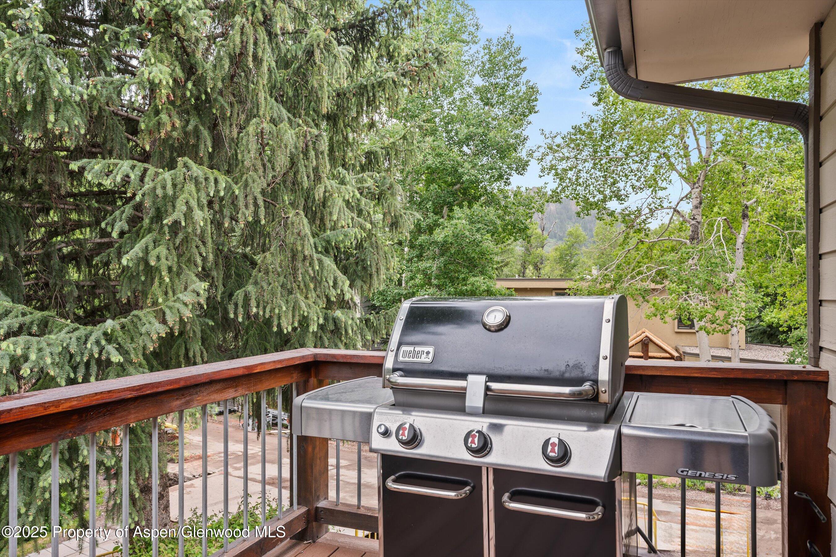 322 Park Avenue Aspen CO 81611