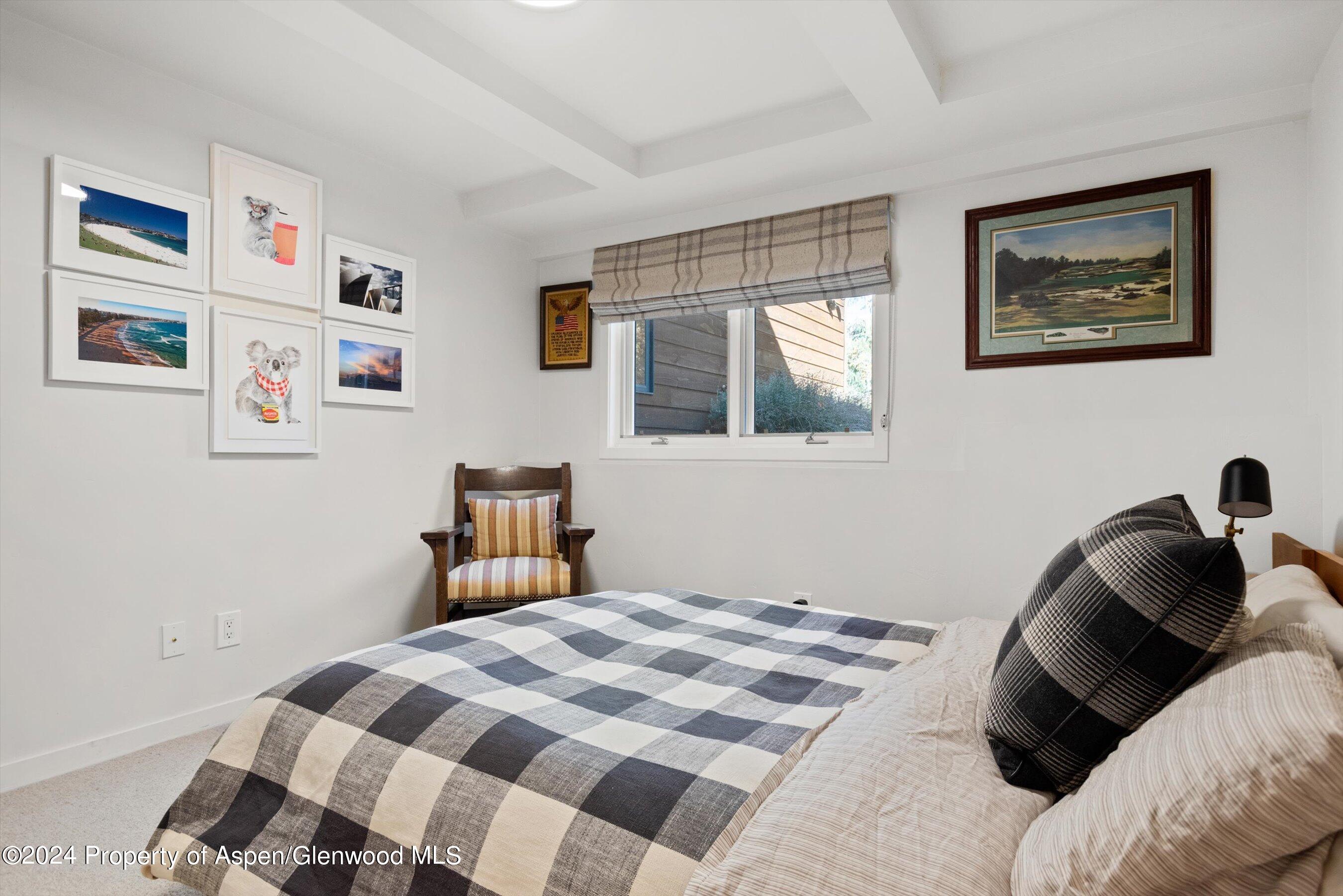 810 Bonita Drive Aspen CO 81611