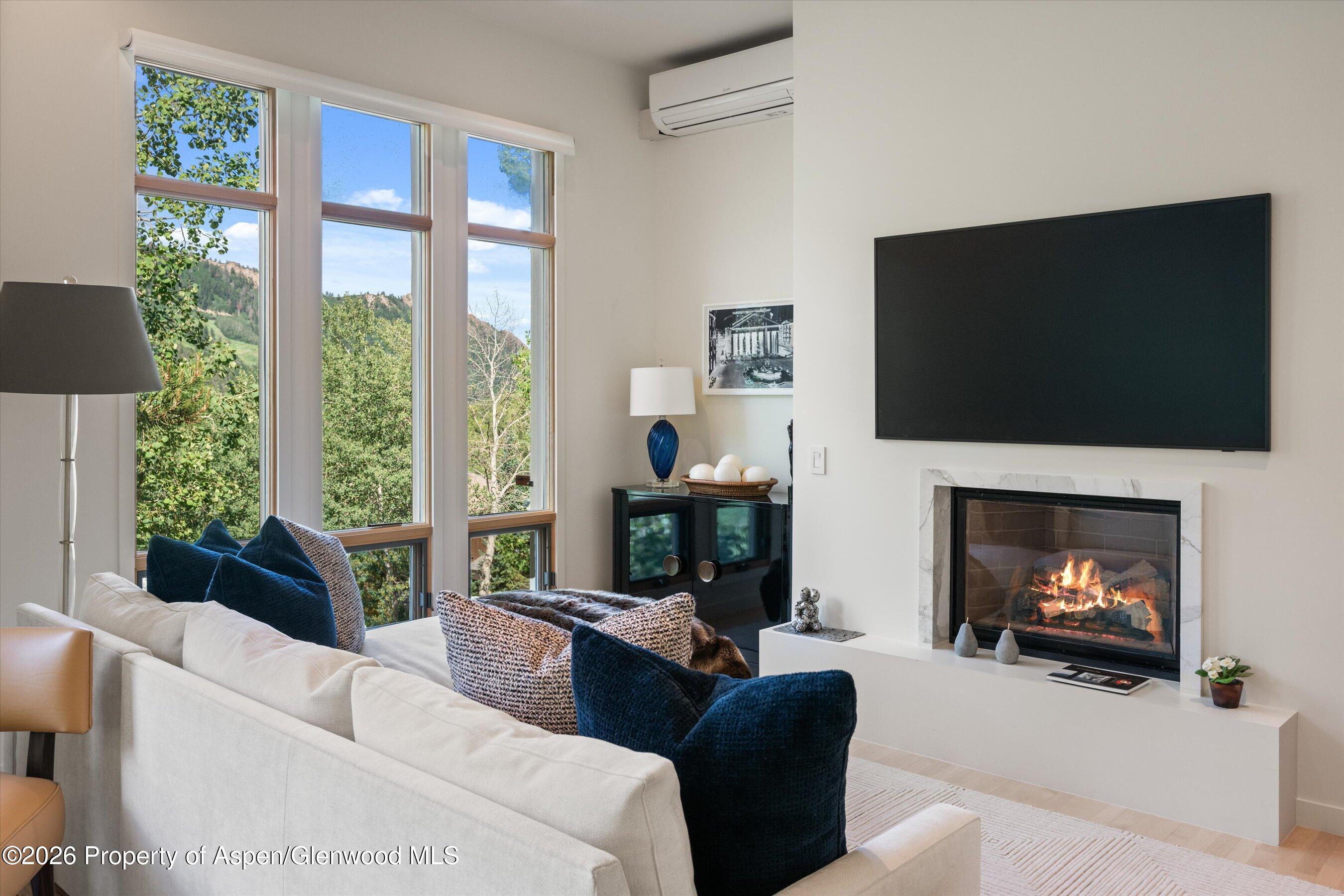 250 Mountain Laurel Drive Aspen CO 81611