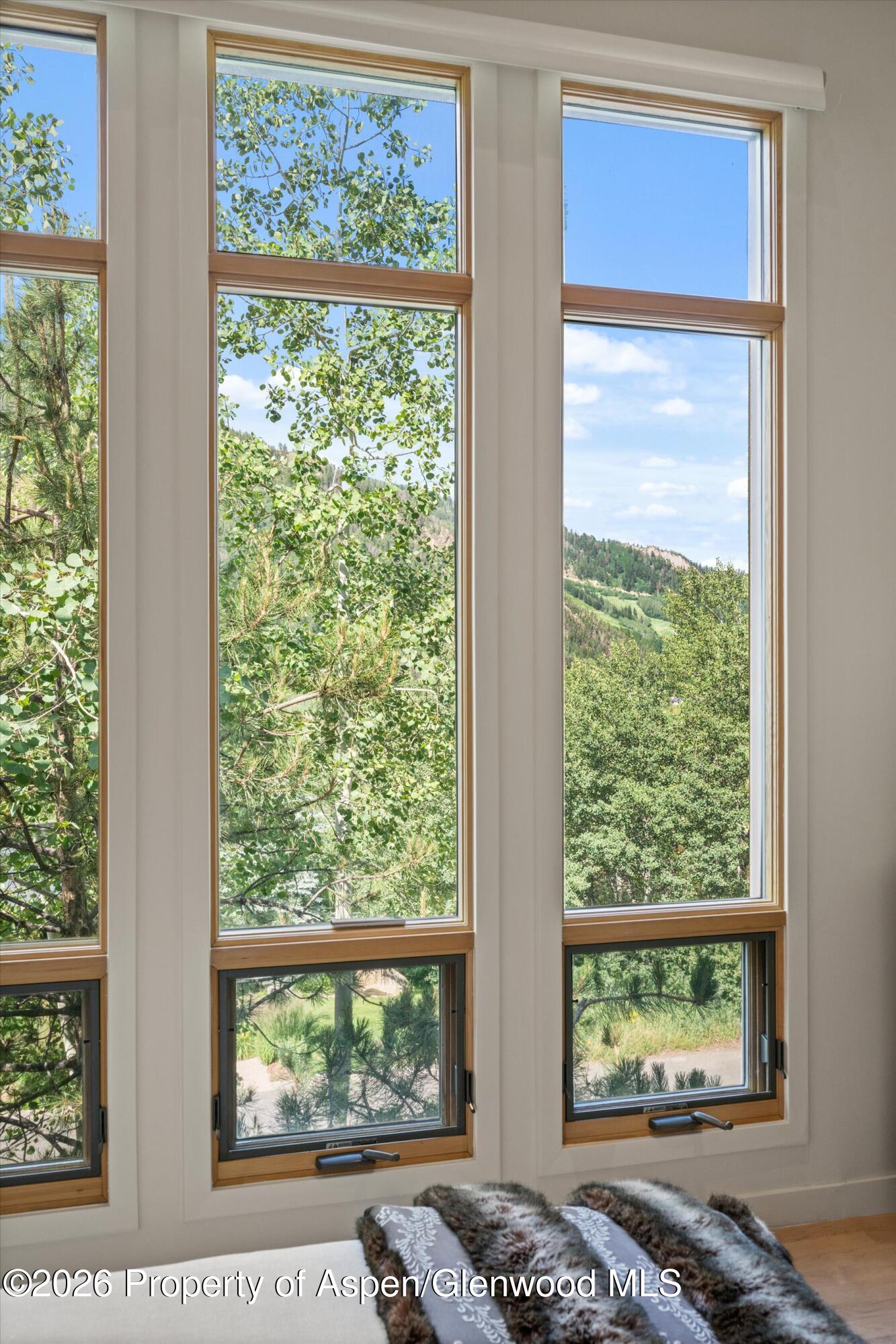 250 Mountain Laurel Drive Aspen CO 81611