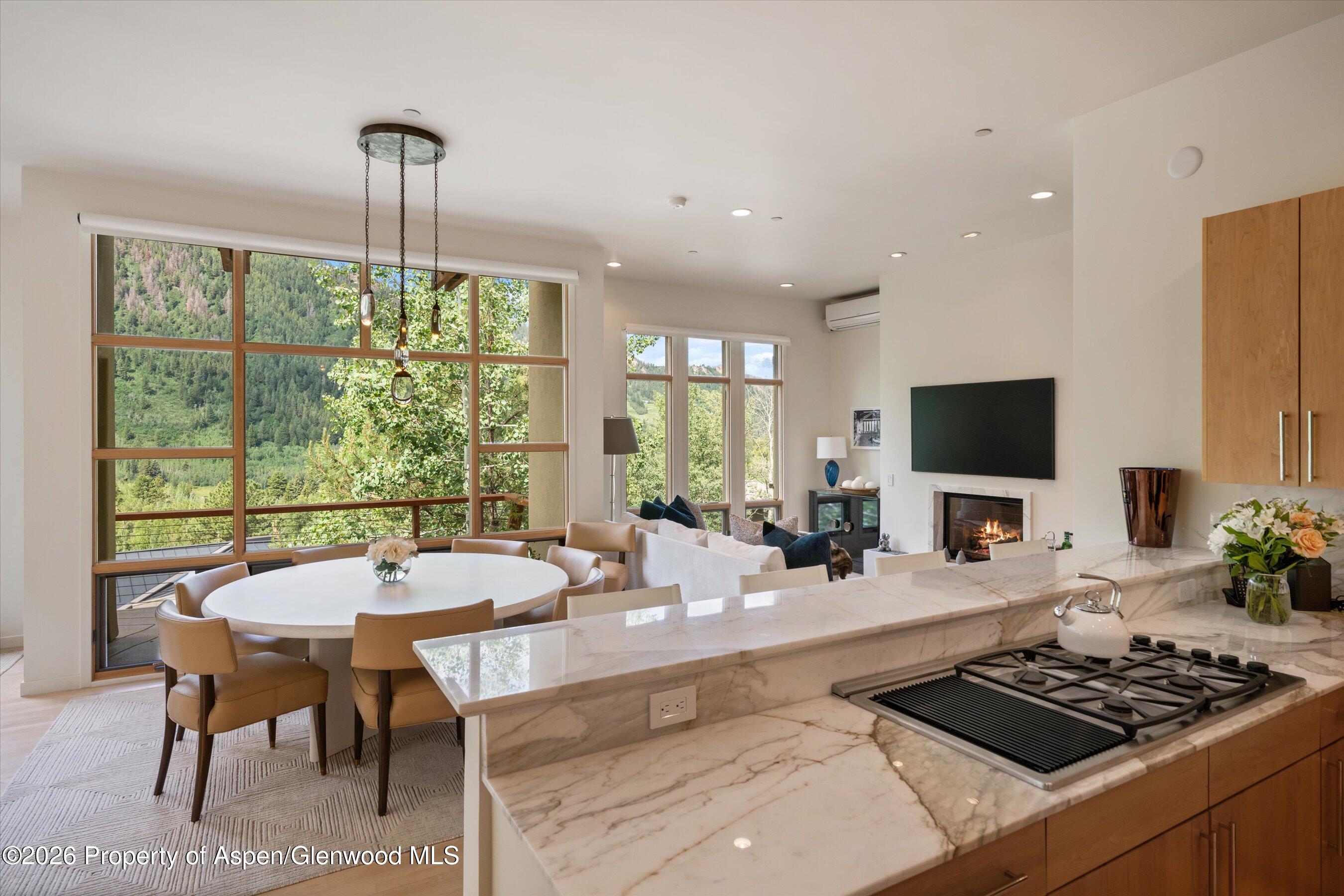 250 Mountain Laurel Drive Aspen CO 81611