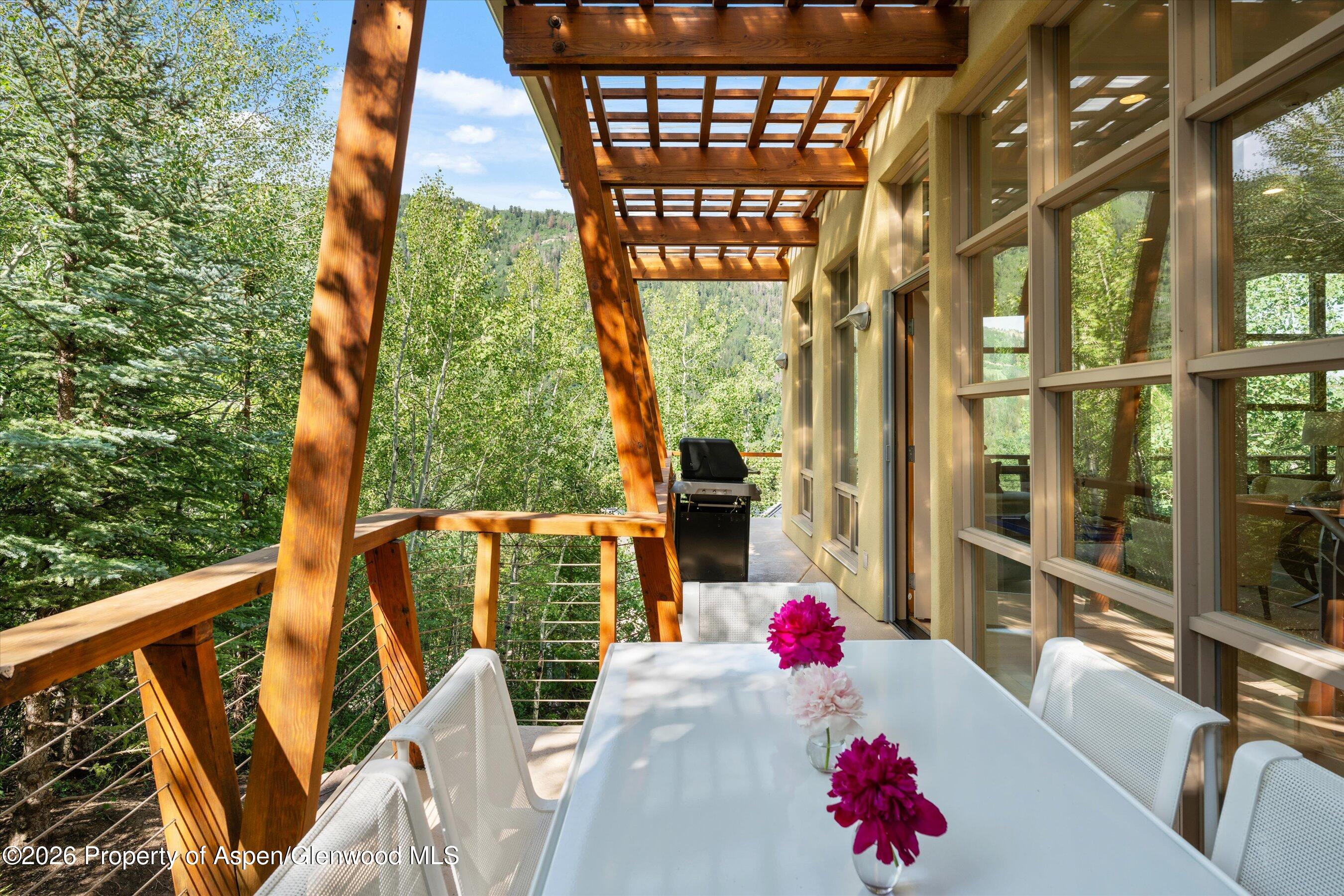 250 Mountain Laurel Drive Aspen CO 81611
