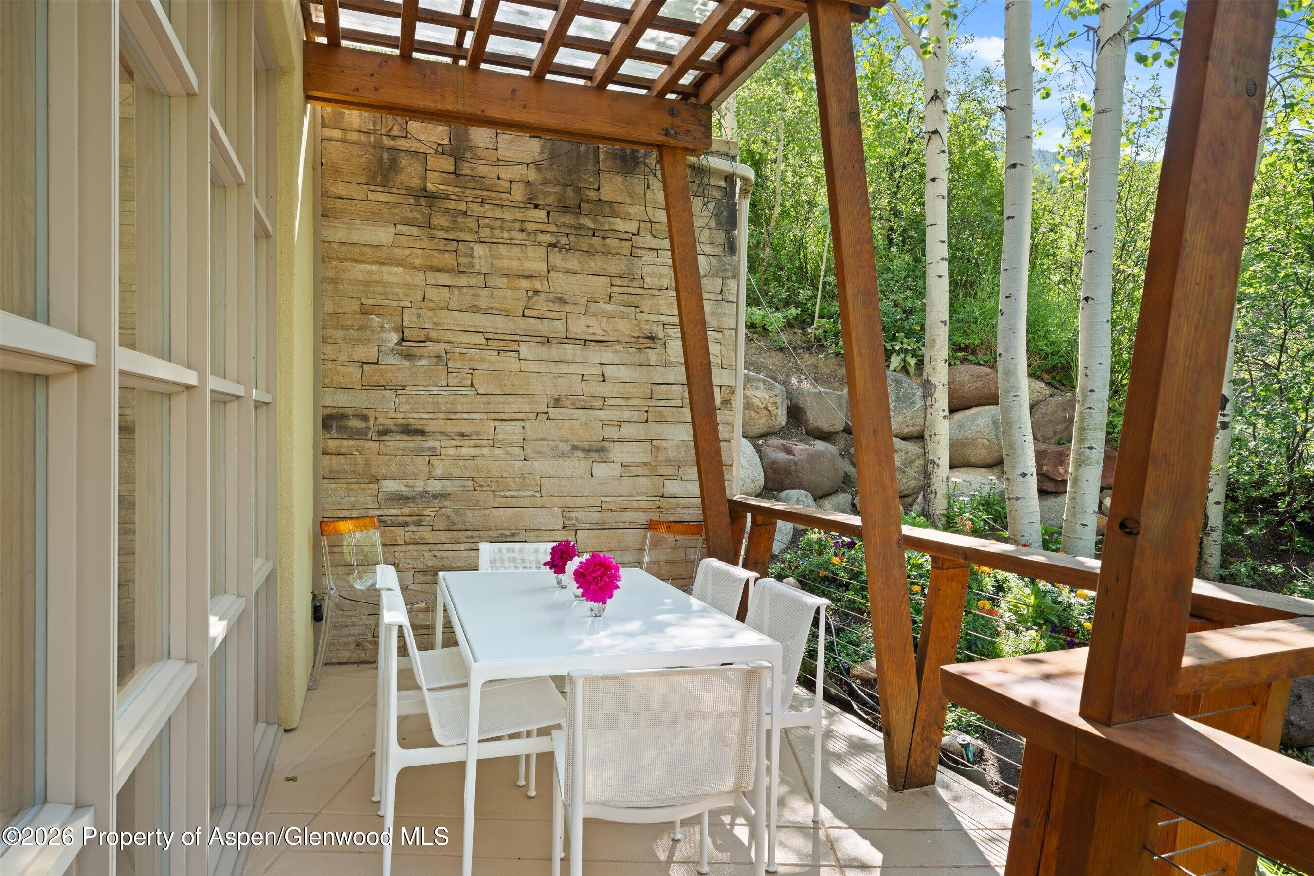 250 Mountain Laurel Drive Aspen CO 81611